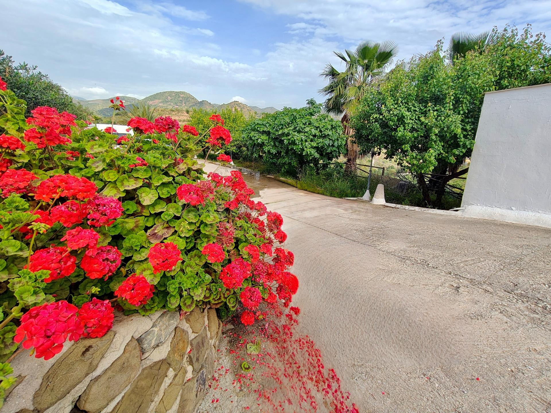 FINCA RÚSTICA DE ENSUEÑO CON PISCINA, BARBACOA Y VISTAS PANORÁMICAS – PAZ Y NATURALEZA A 20 MINUTOS DE PUERTO DE LA TORRE