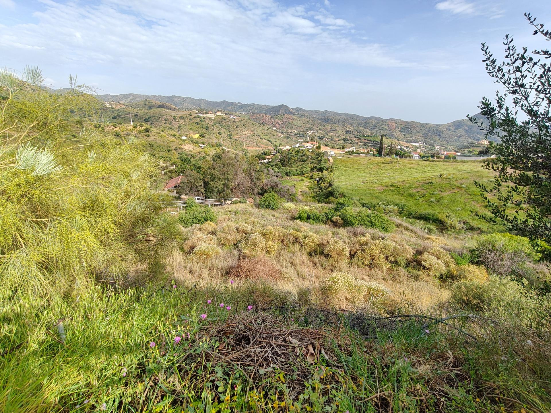 FINCA RÚSTICA DE ENSUEÑO CON PISCINA, BARBACOA Y VISTAS PANO - foto 3