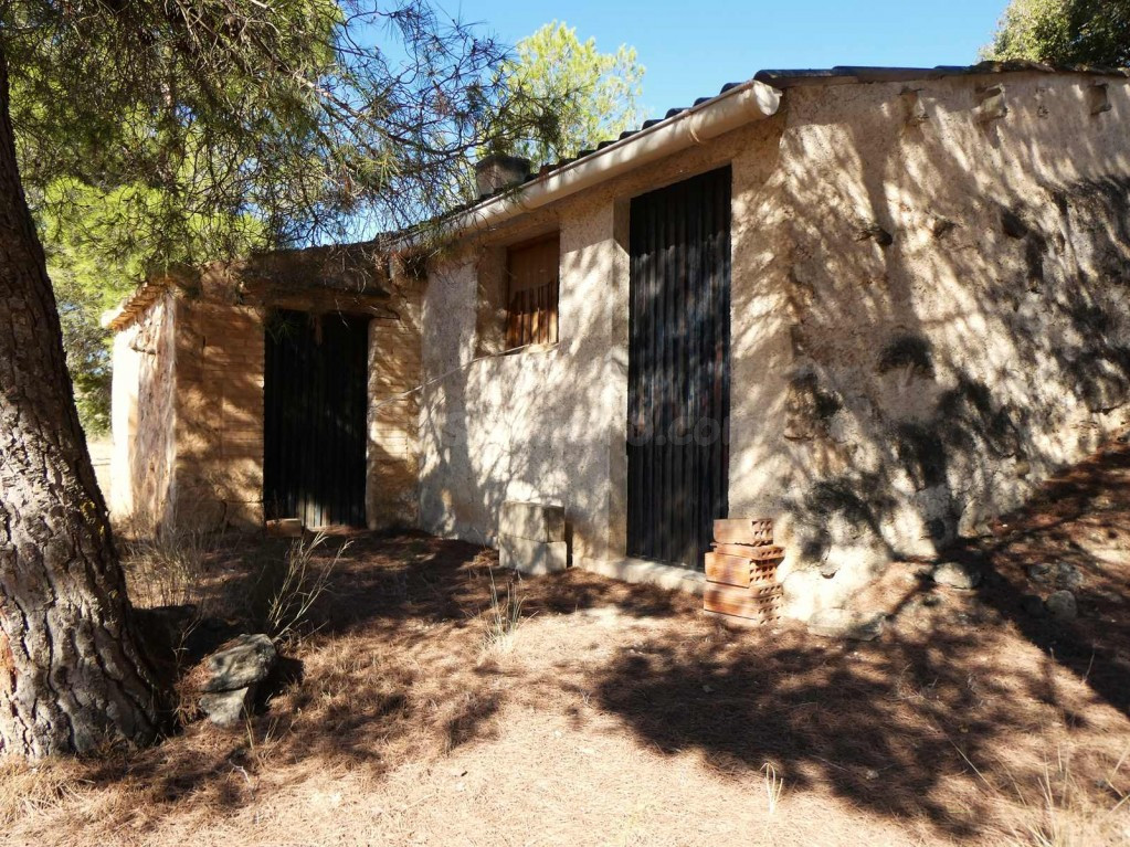 Suelo rústico en Venta en Maella Zaragoza
