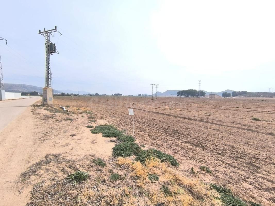 Parcela en venta - Centro - foto 2