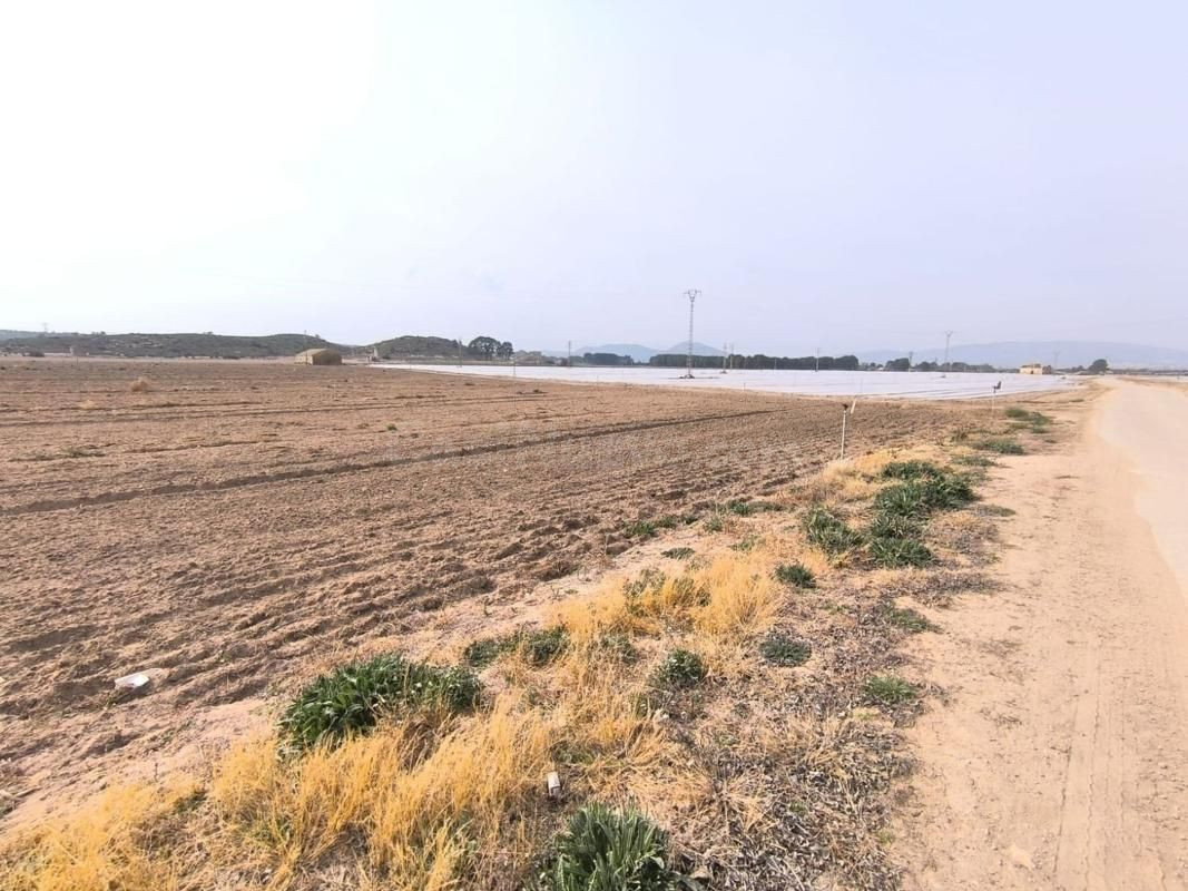 Parcela en venta - Centro - foto 3