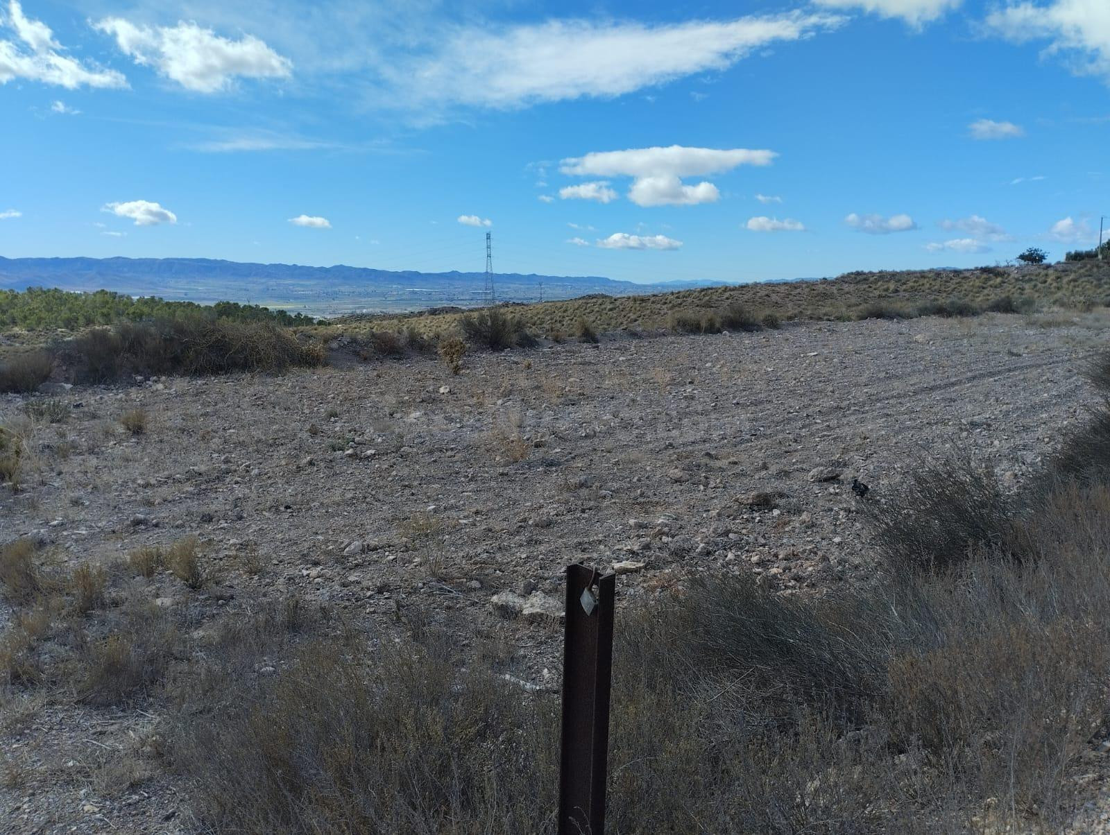 Terreno rural en venta - La Hoya