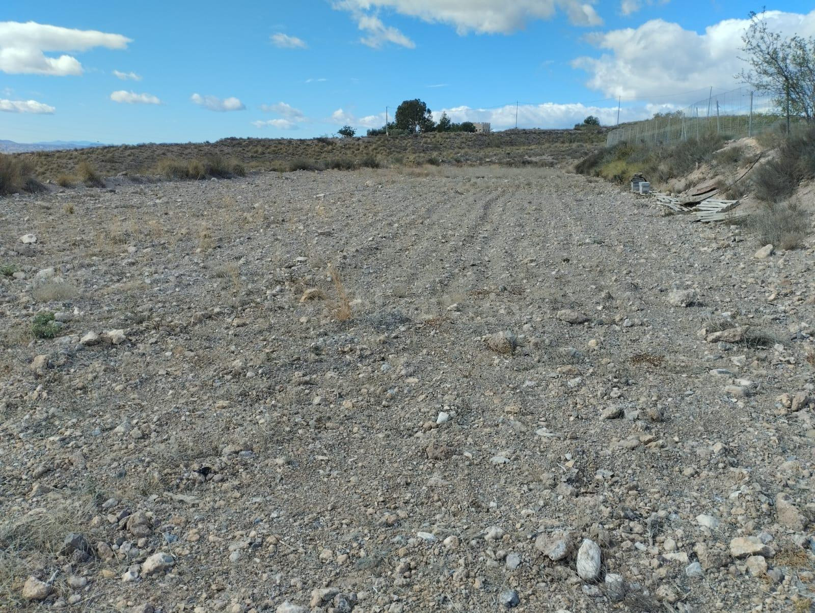 Terreno rural en venta - La Hoya - foto 3