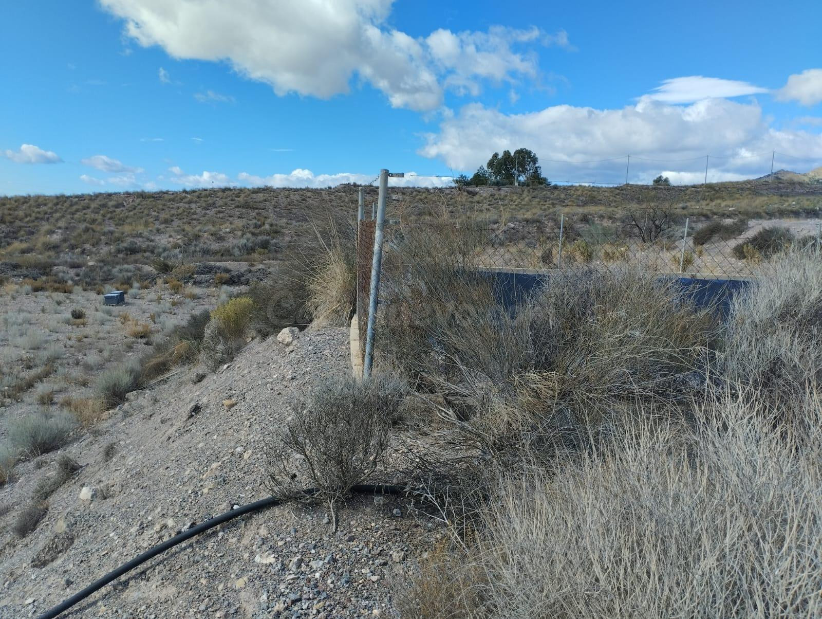 Terreno rural en venta - La Hoya - foto 4