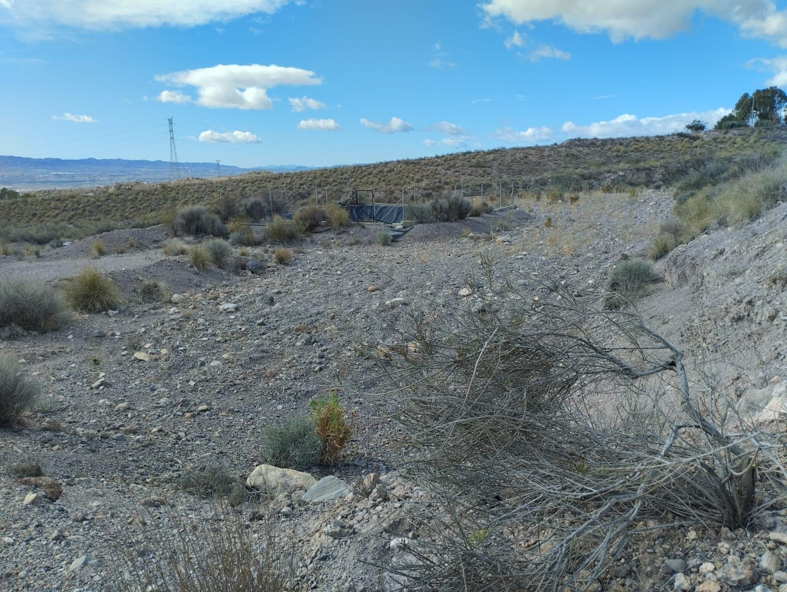 Terreno rural en venta - La Hoya - foto 5