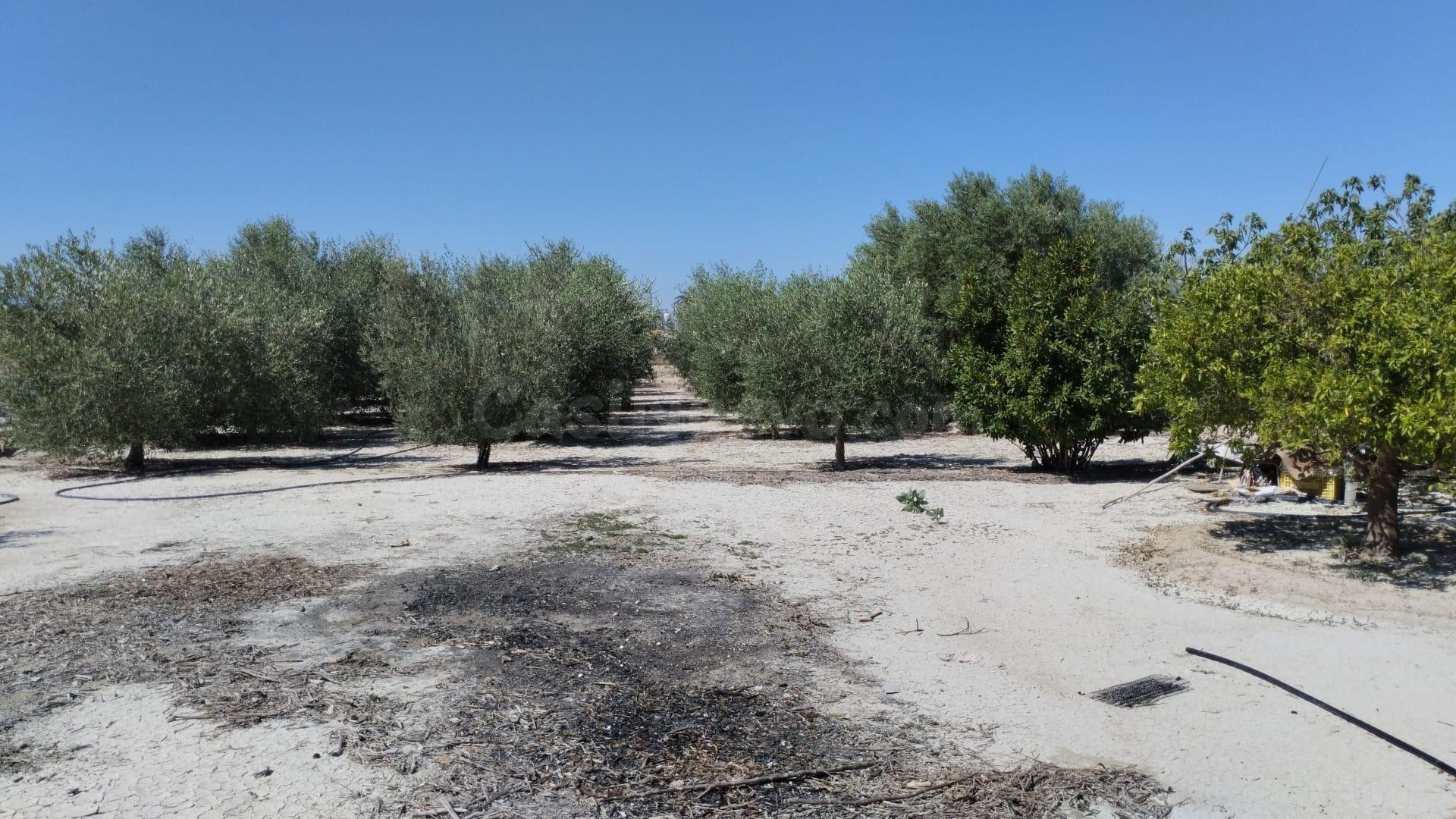 Terreno Rústico - El Panderón, Molina de Segura
