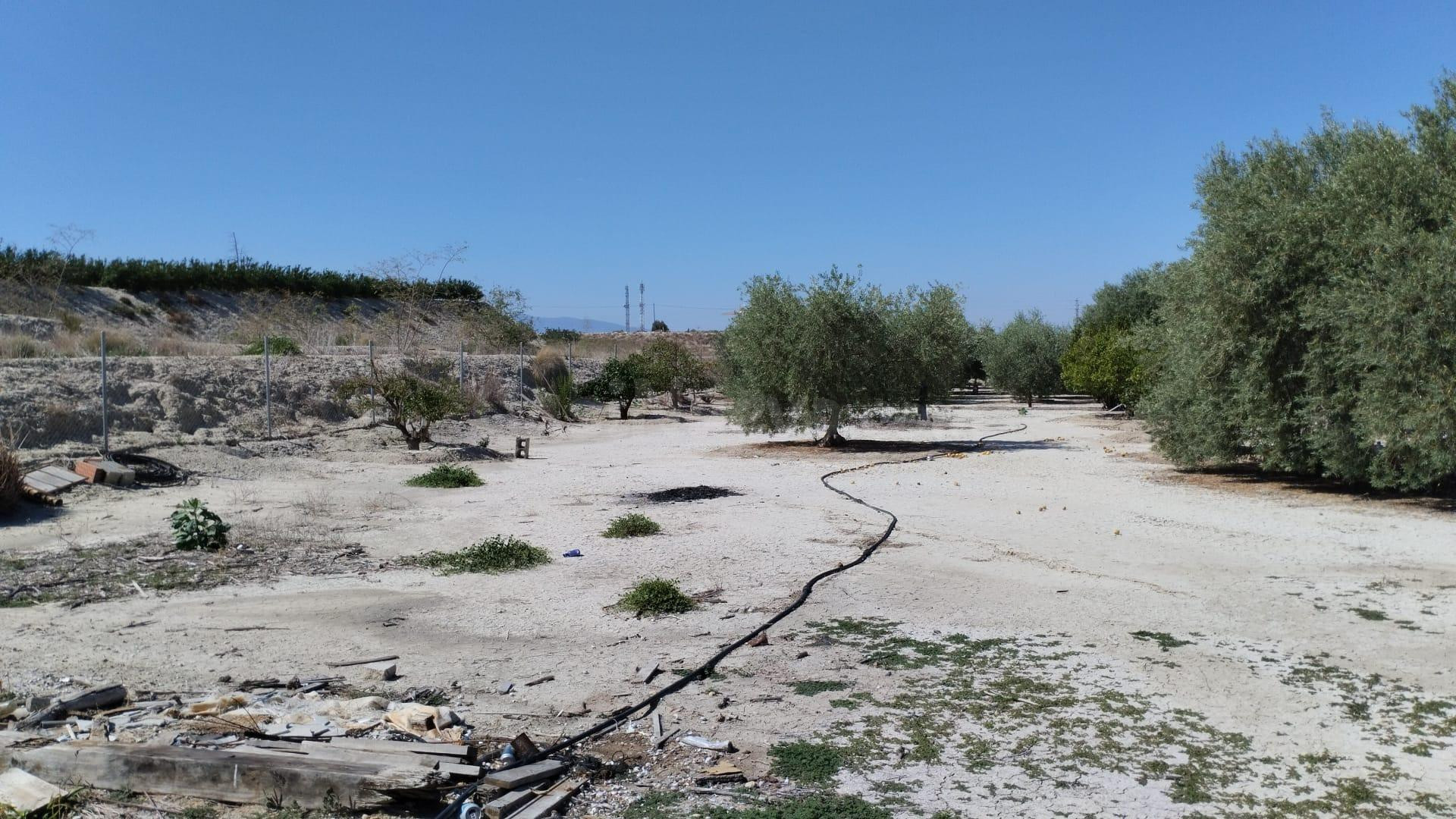 Terreno Rústico - El Panderón, Molina de Segura - foto 3