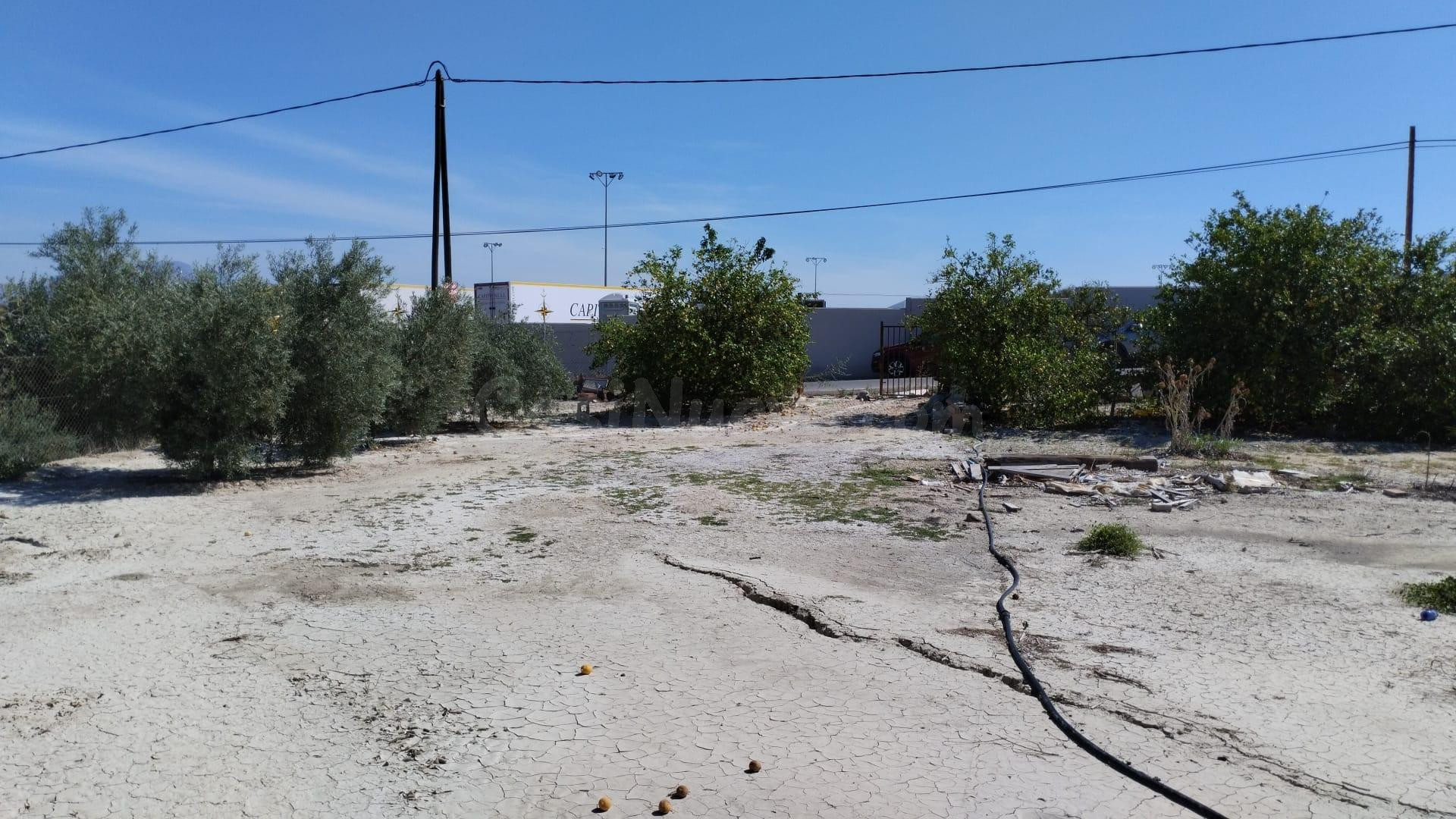 Terreno Rústico - El Panderón, Molina de Segura - foto 4