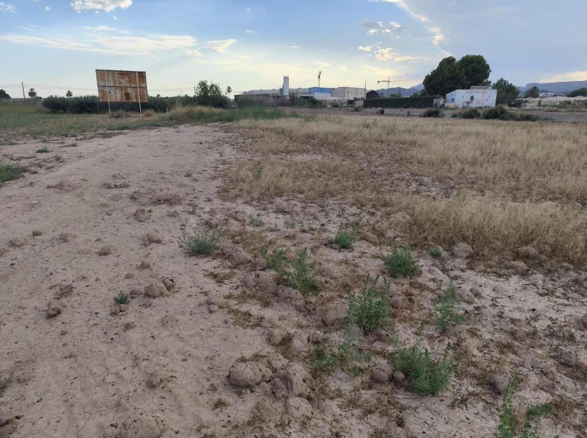 Terreno en Venta en el Torrejón - Totana.