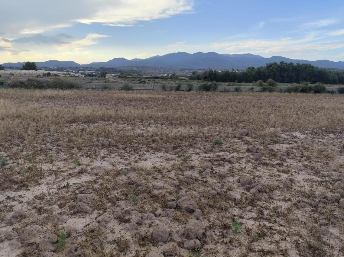 Terreno en Venta en el Torrejón - Totana. - foto 2