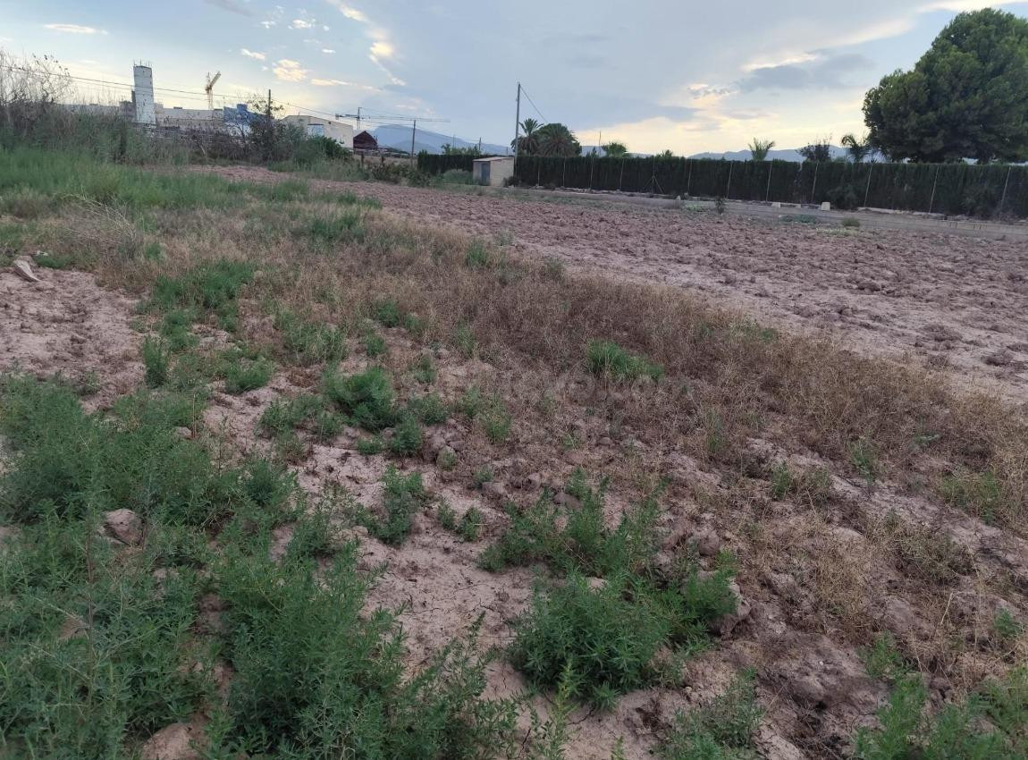 Terreno en Venta en el Torrejón - Totana. - foto 3