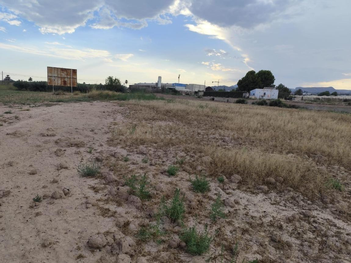 Terreno en Venta en el Torrejón - Totana. - foto 4