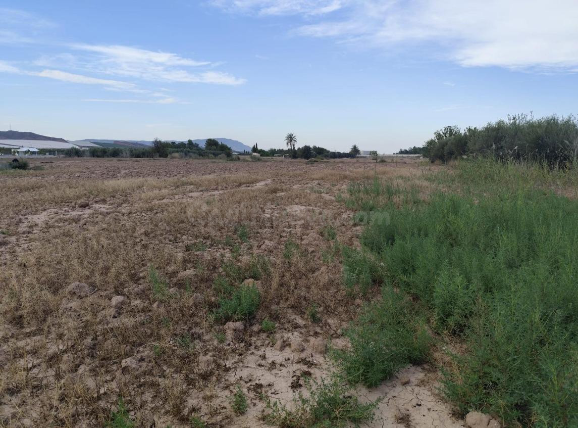 Terreno en Venta en el Torrejón - Totana. - foto 5