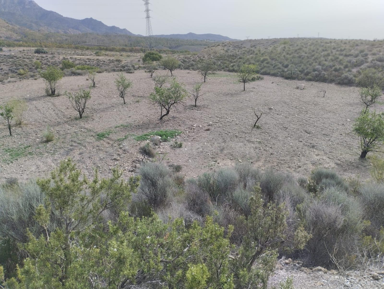 Terreno Rural en Venta en La Hoya de Lorca