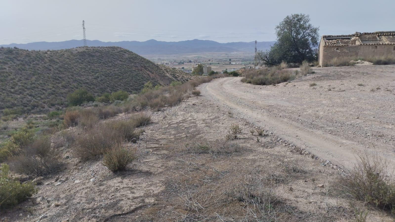 Terreno Rural en Venta en La Hoya de Lorca - foto 3