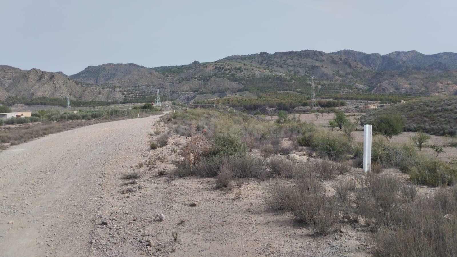 Terreno Rural en Venta en La Hoya de Lorca - foto 4