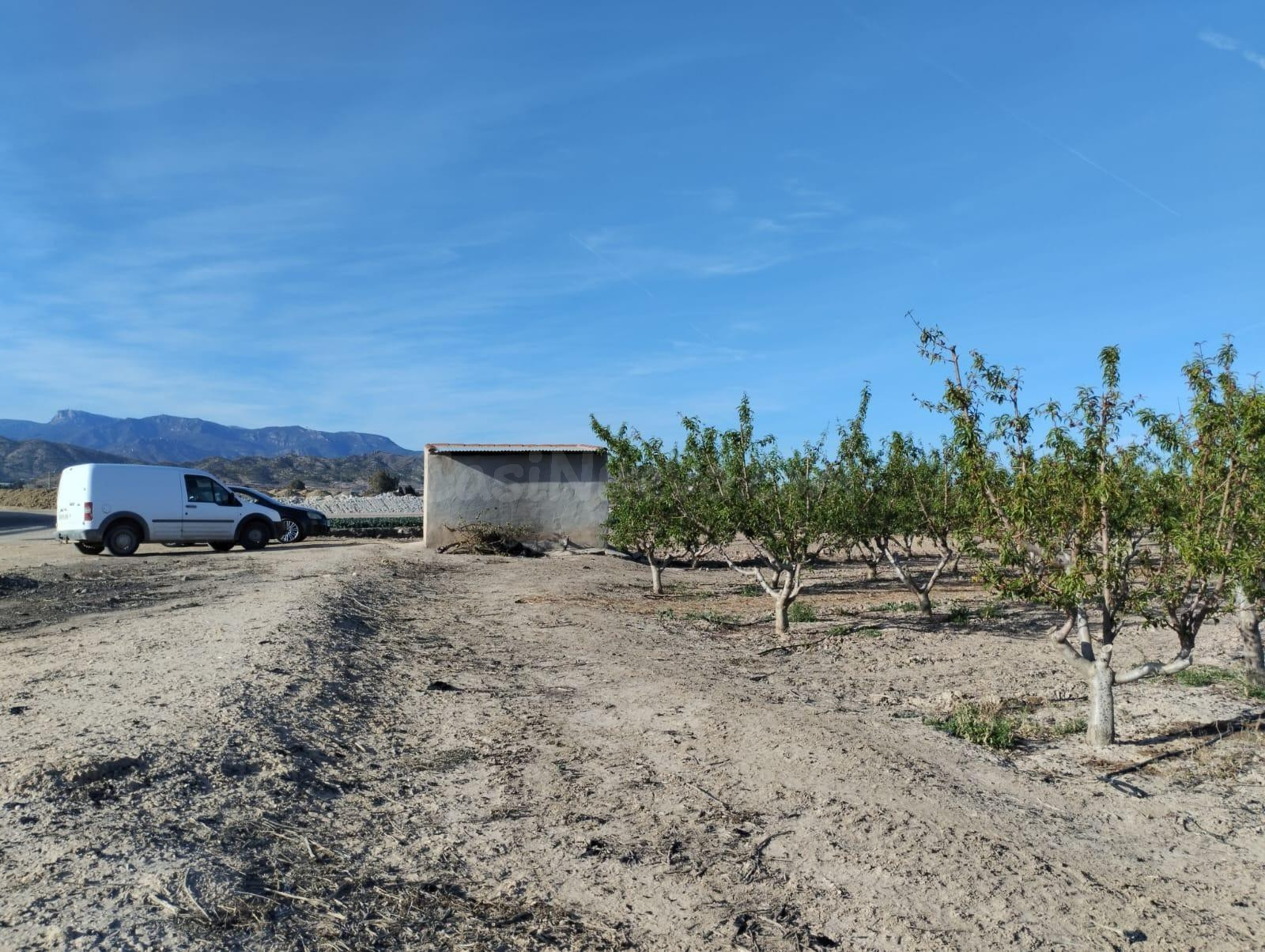 Terreno agrario en Lebor -Totana- - foto 4