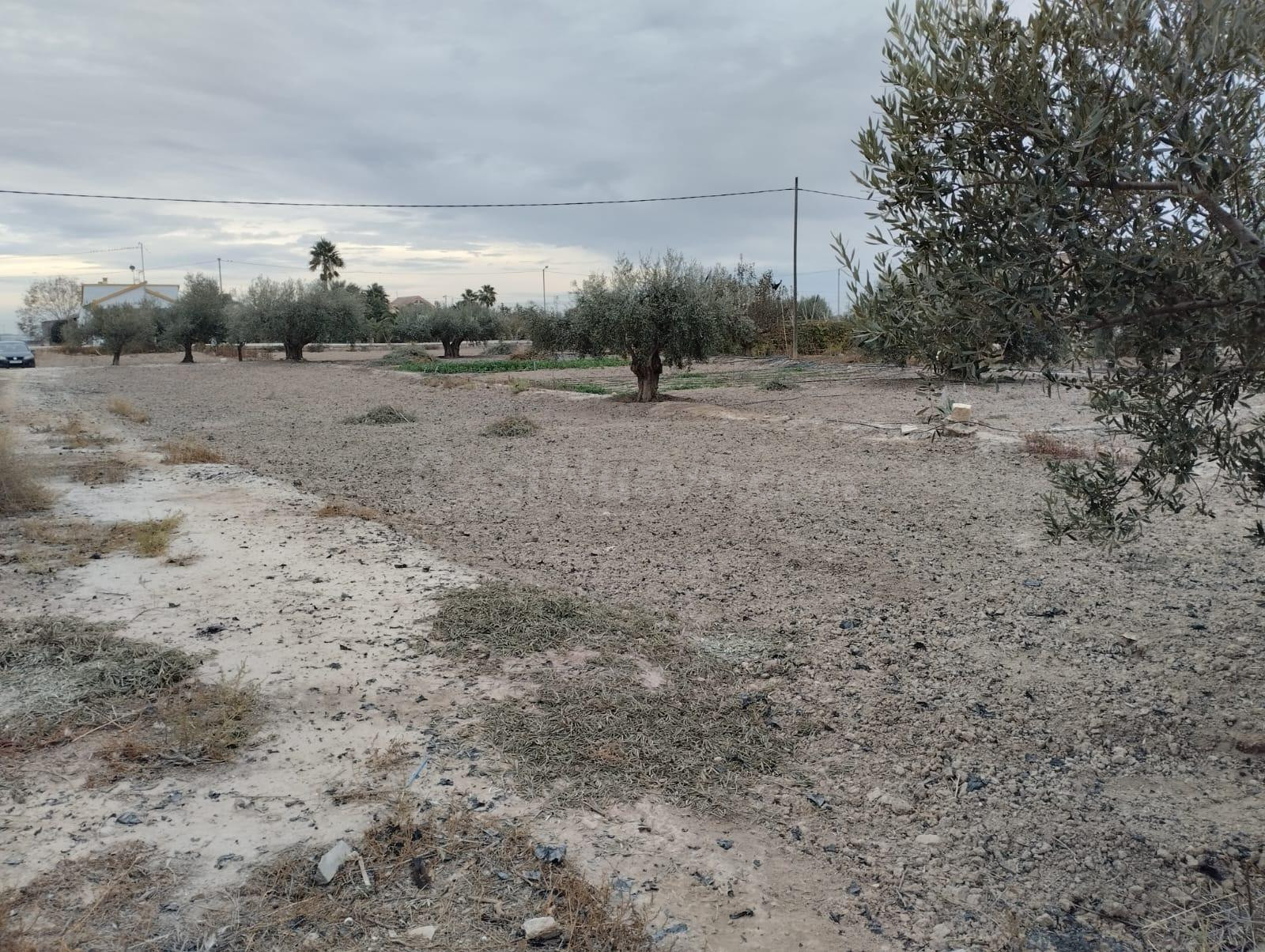 Terreno urbanizable-La Hoya - foto 2