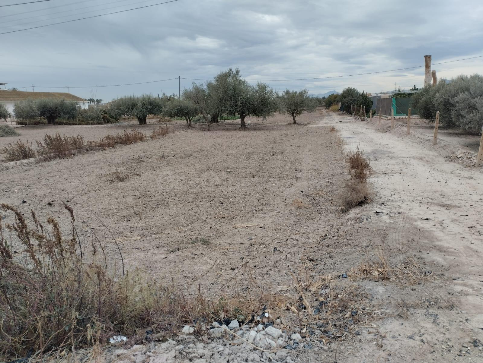 Terreno urbanizable-La Hoya - foto 5