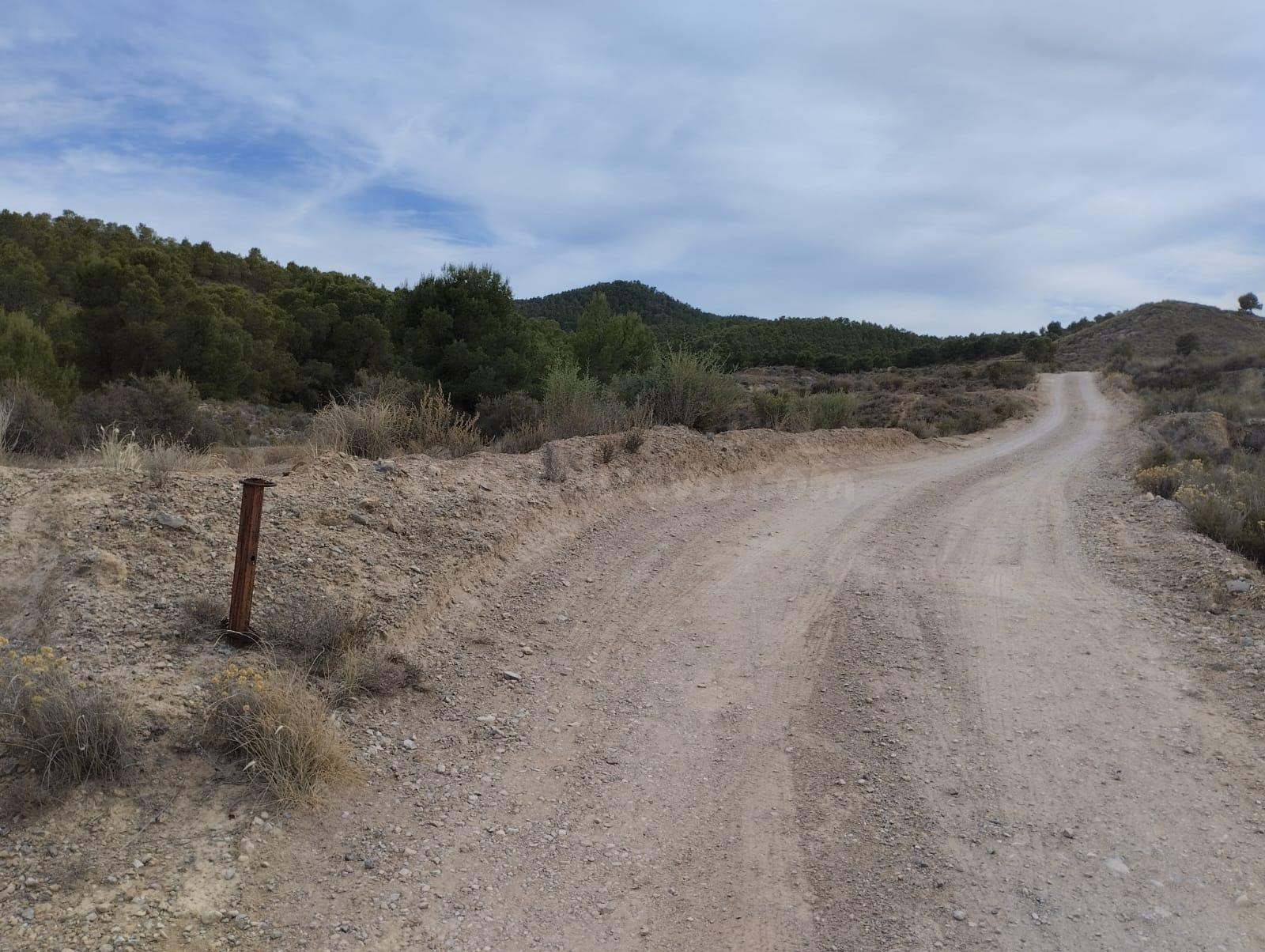Terreno-Rural- Totana - foto 3