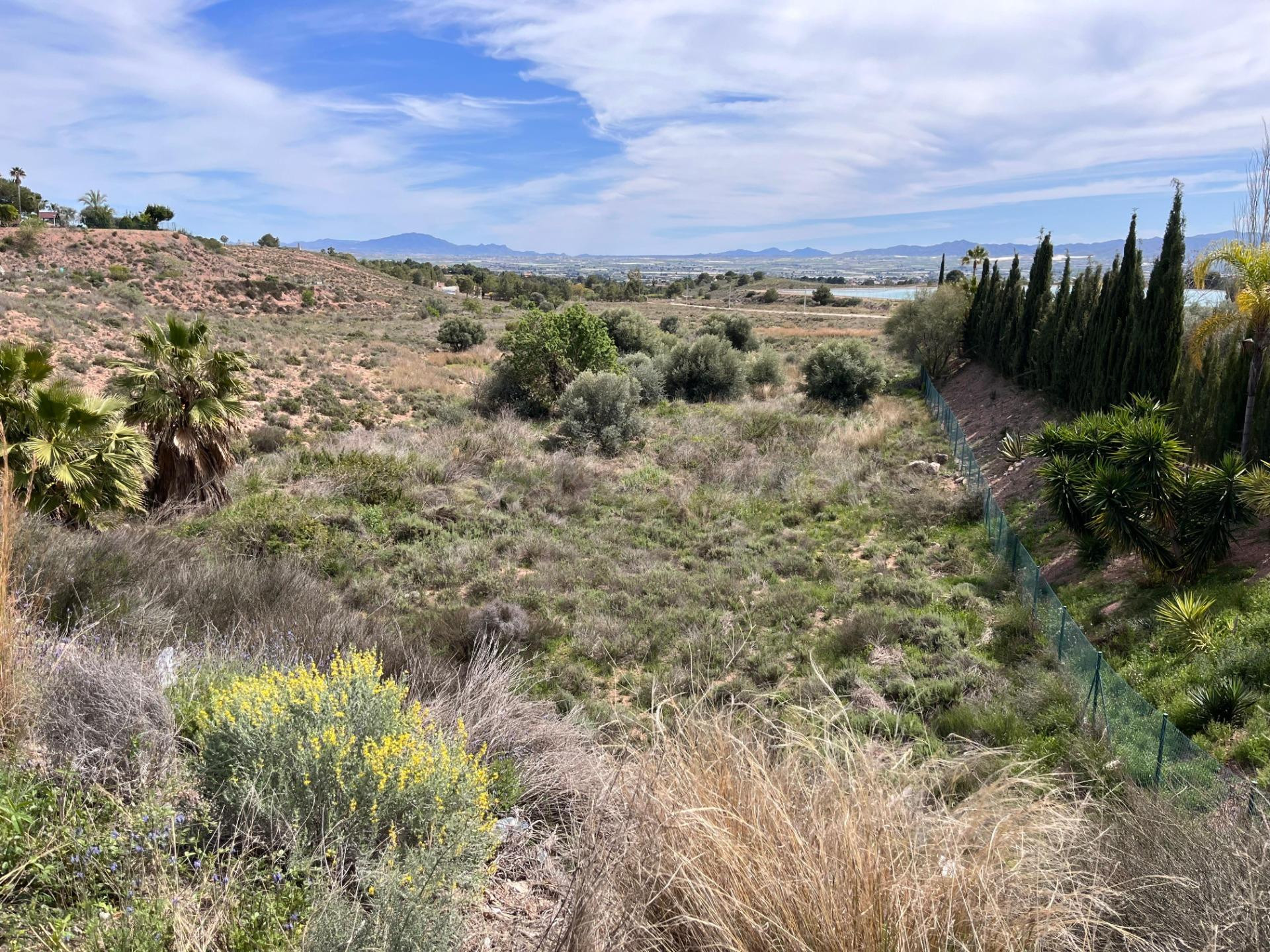 Terreno Urbanizable en el Trasvase de Totana - foto 4