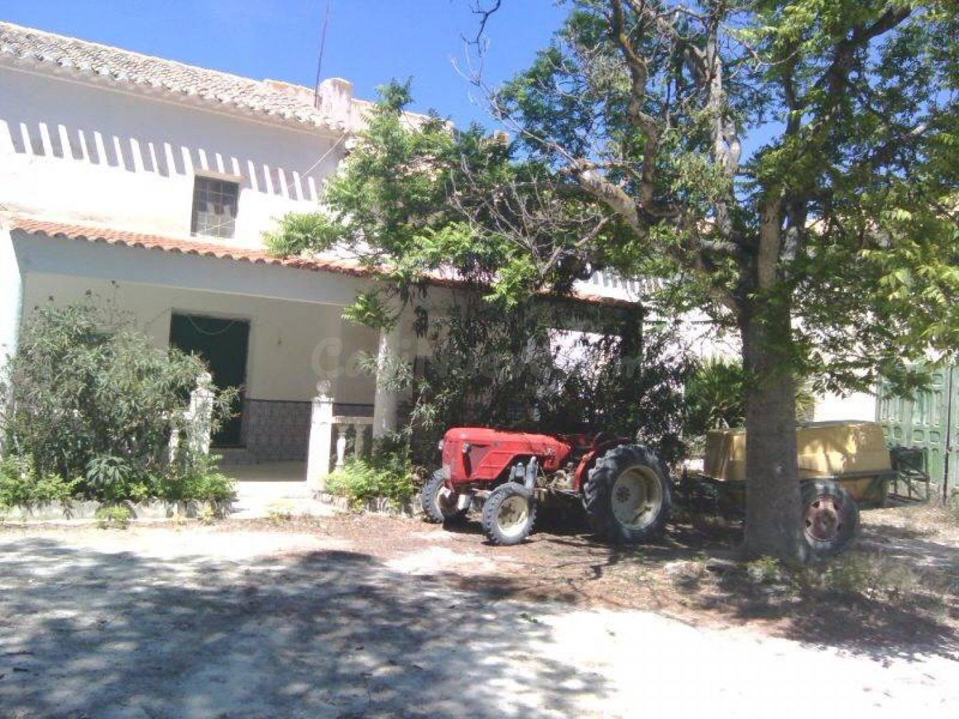 Finca Rustica con Casas y Almendros en Producción en Moratal - foto 3