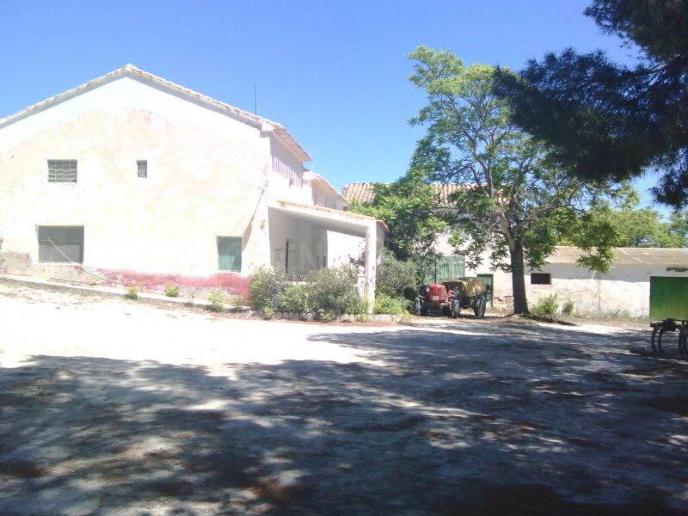 Finca Rustica con Casas y Almendros en Producción en Moratal - foto 5