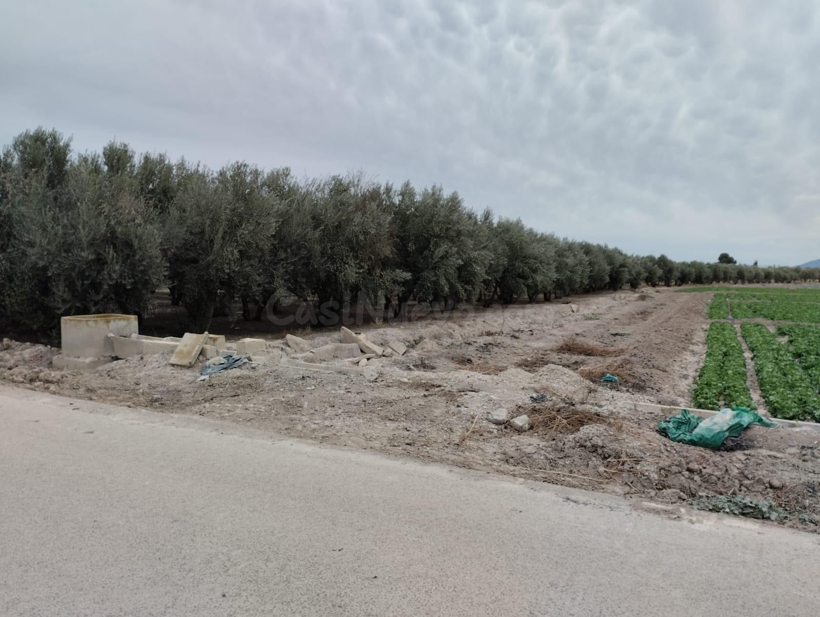 Terreno de Regadío - La Hoya, Lorca - foto 2