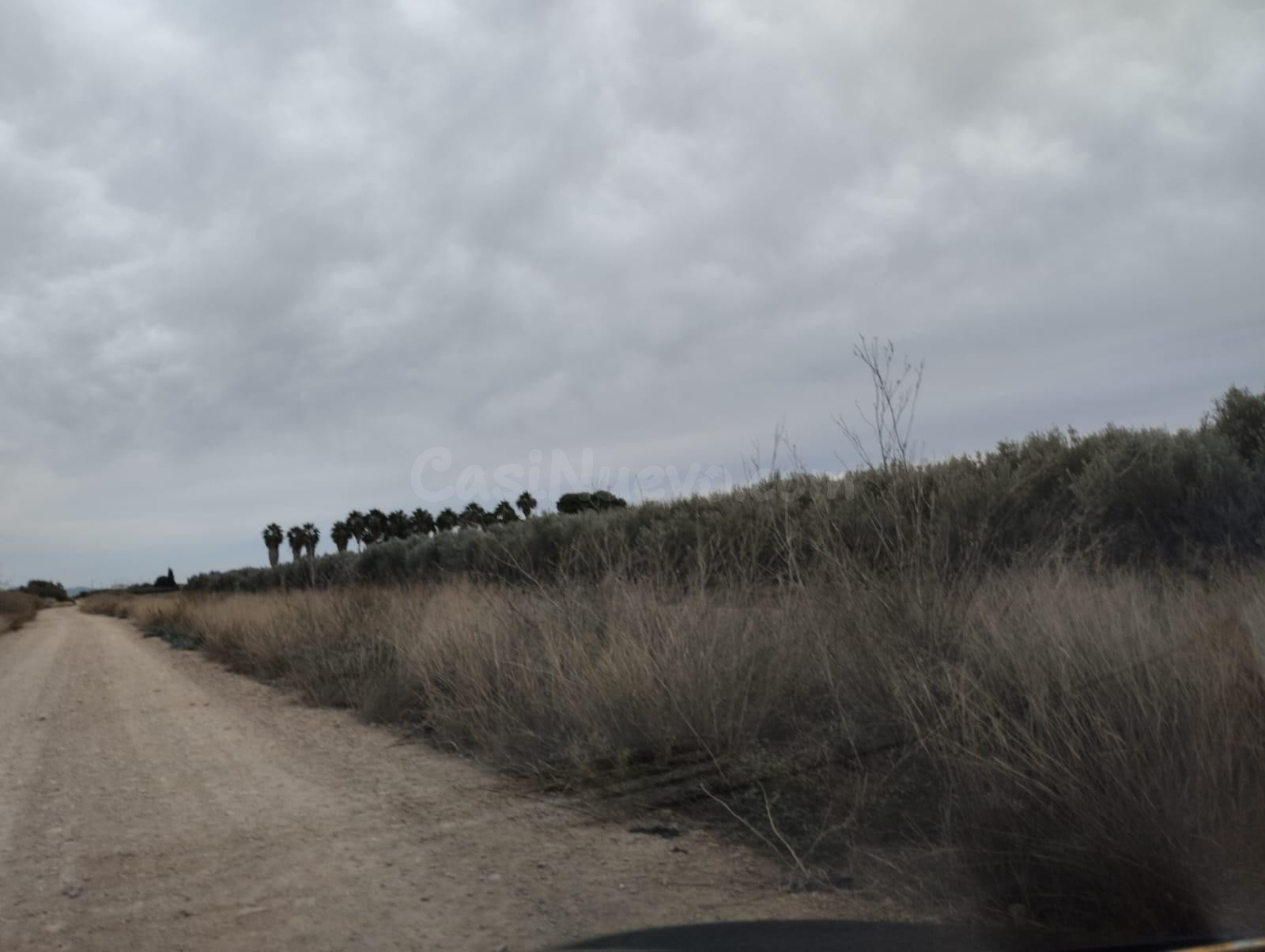 Terreno de Regadío - La Hoya, Lorca - foto 3
