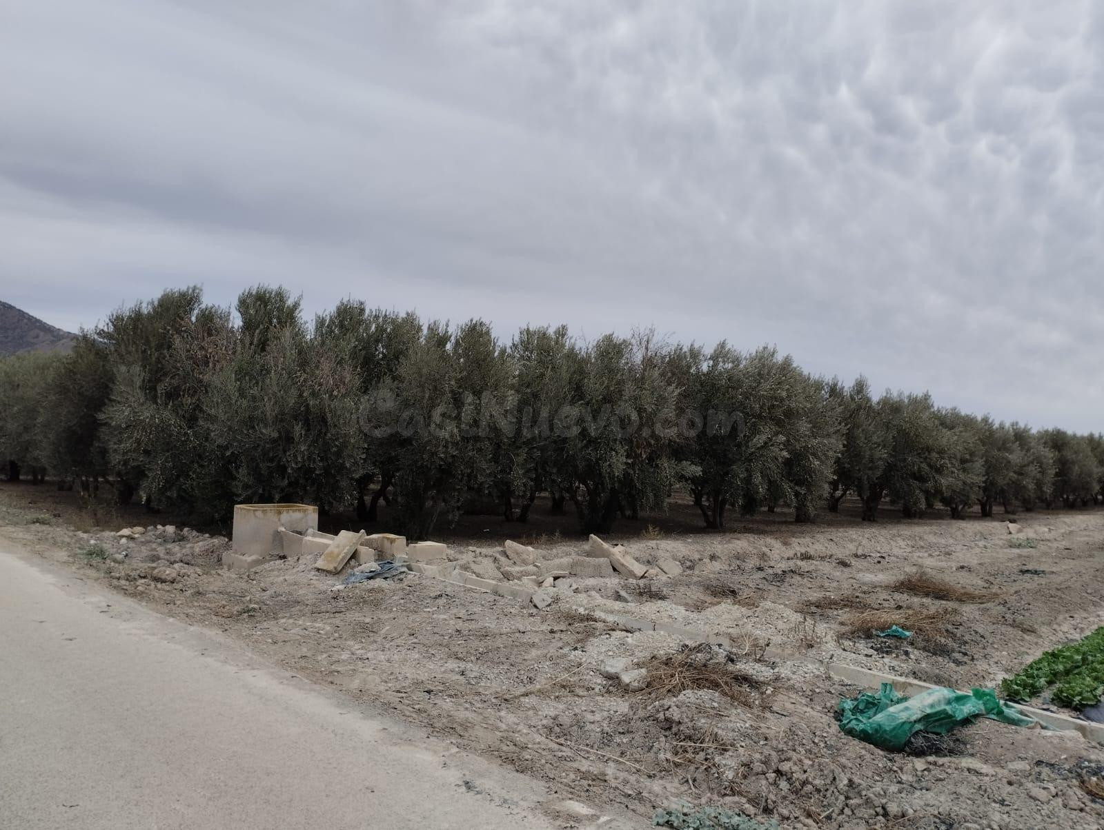 Terreno de Regadío - La Hoya, Lorca - foto 4