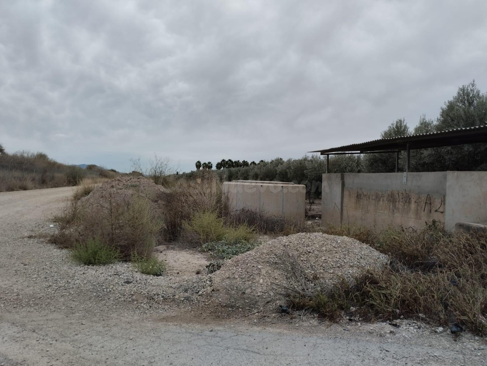 Terreno de Regadío - La Hoya, Lorca - foto 5