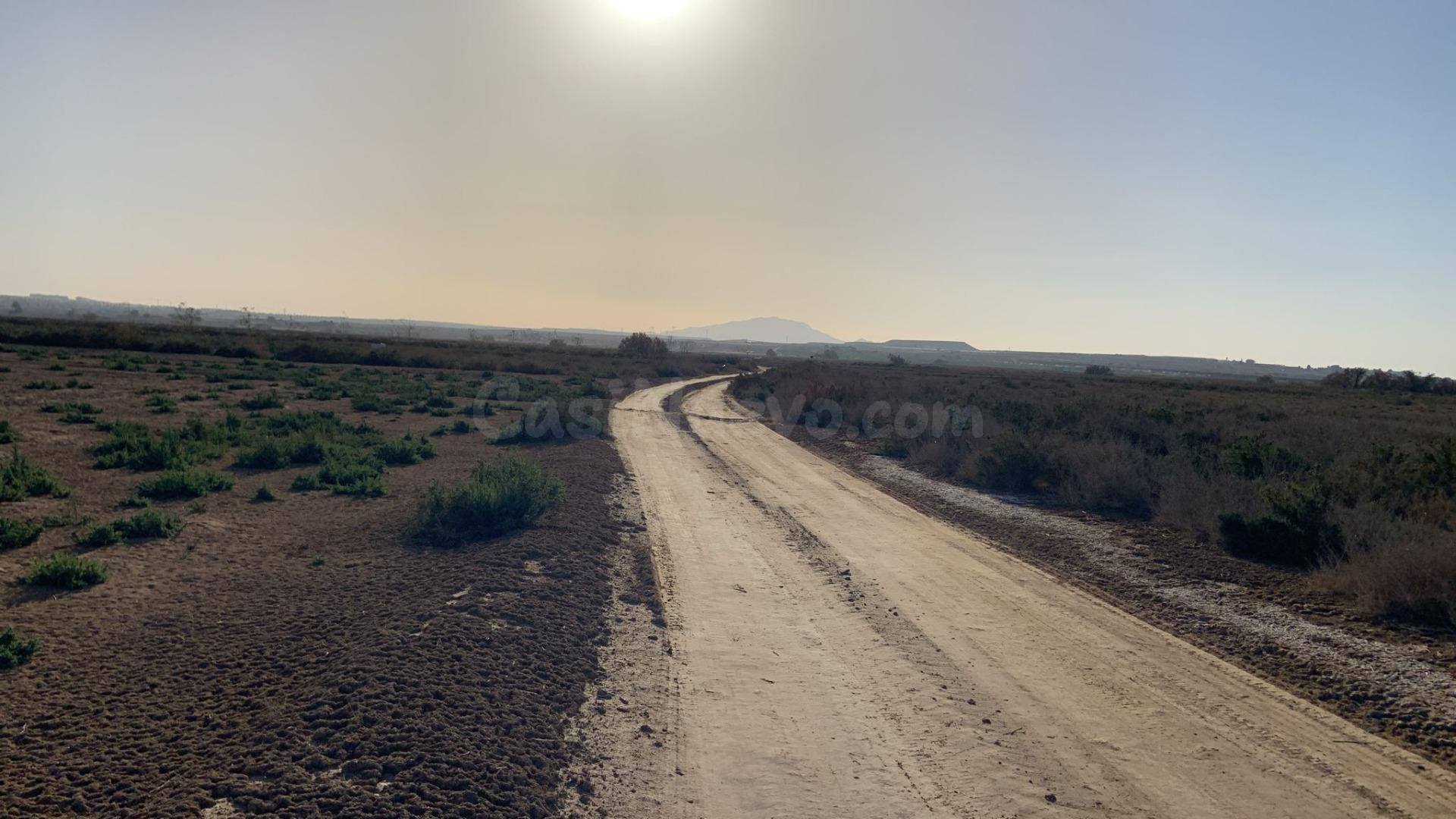 Terreno Rústico - Paraje de la Alcanara, Alhama - foto 2