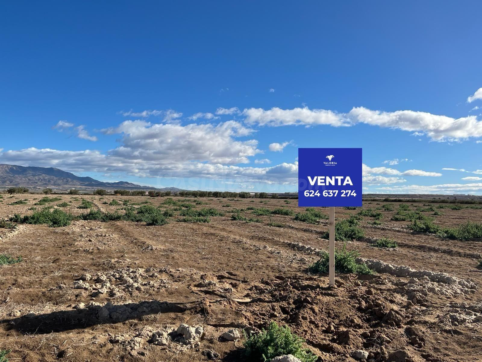 Terreno Rústico - Paraje de la Alcanara, Alhama - foto 4
