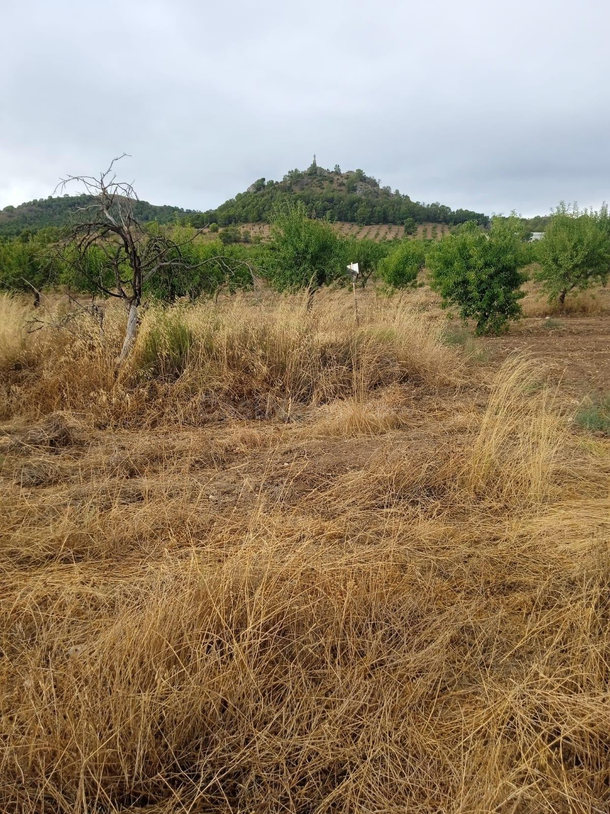 Parcela en Venta en Los Jarales, Lorca - foto 2