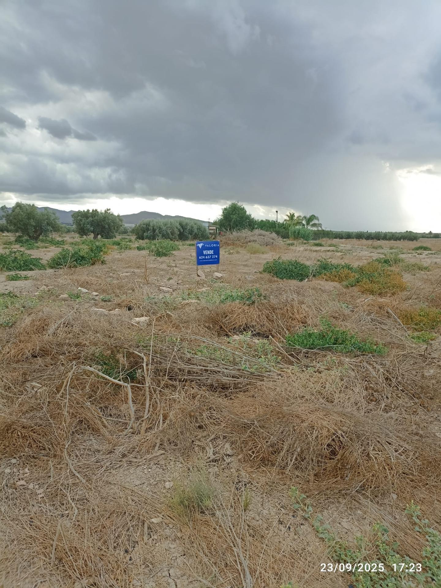 Terreno Rústico en Venta en Carretera de Mazarrón, Totana