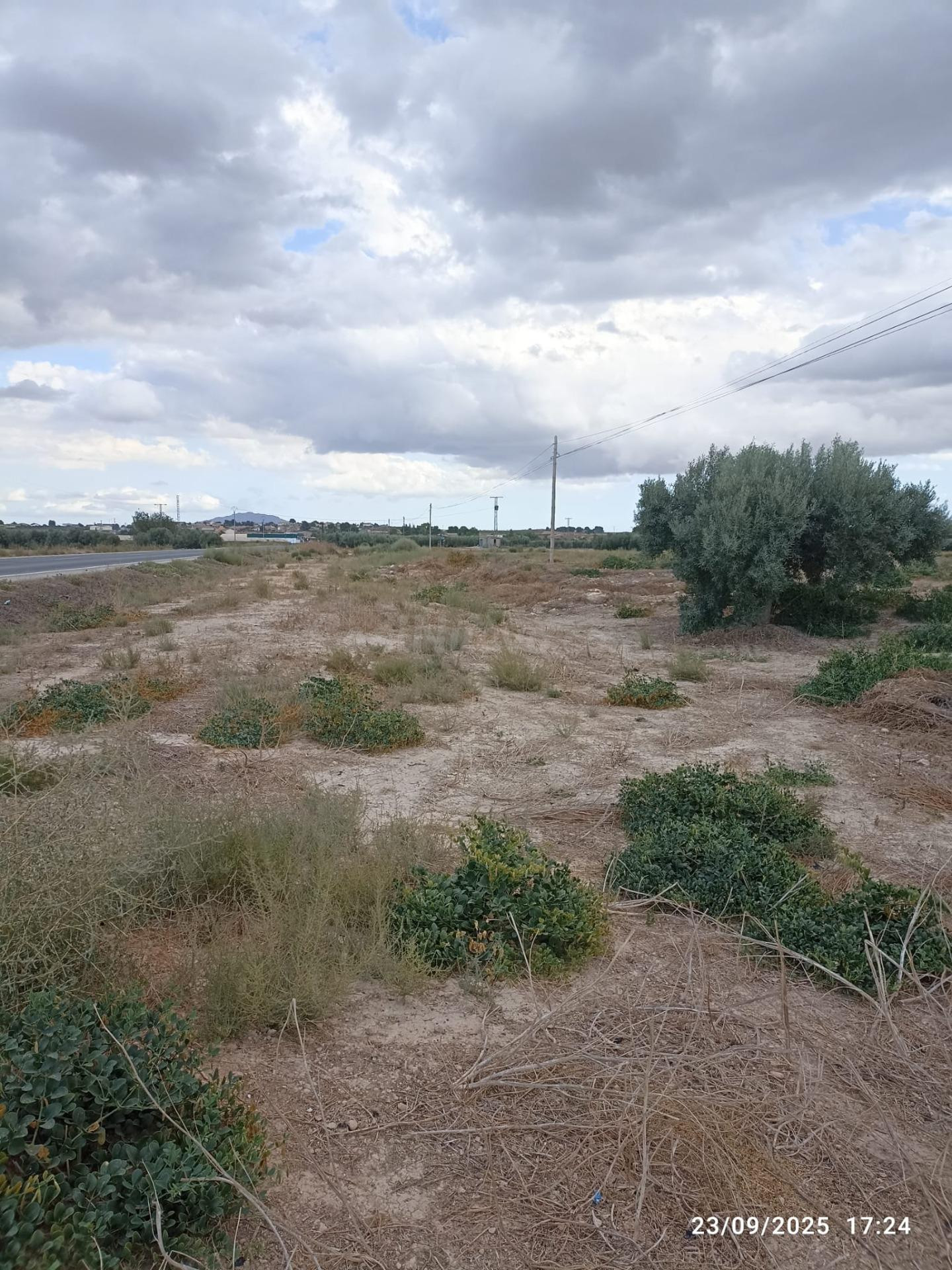 Terreno Rústico en Venta en Carretera de Mazarrón, Totana - foto 4