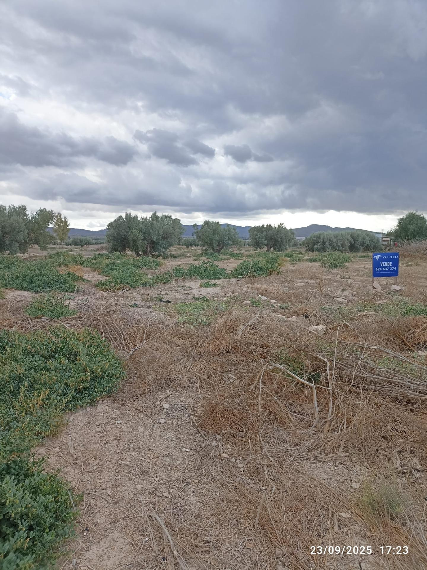 Terreno Rústico en Venta en Carretera de Mazarrón, Totana - foto 5