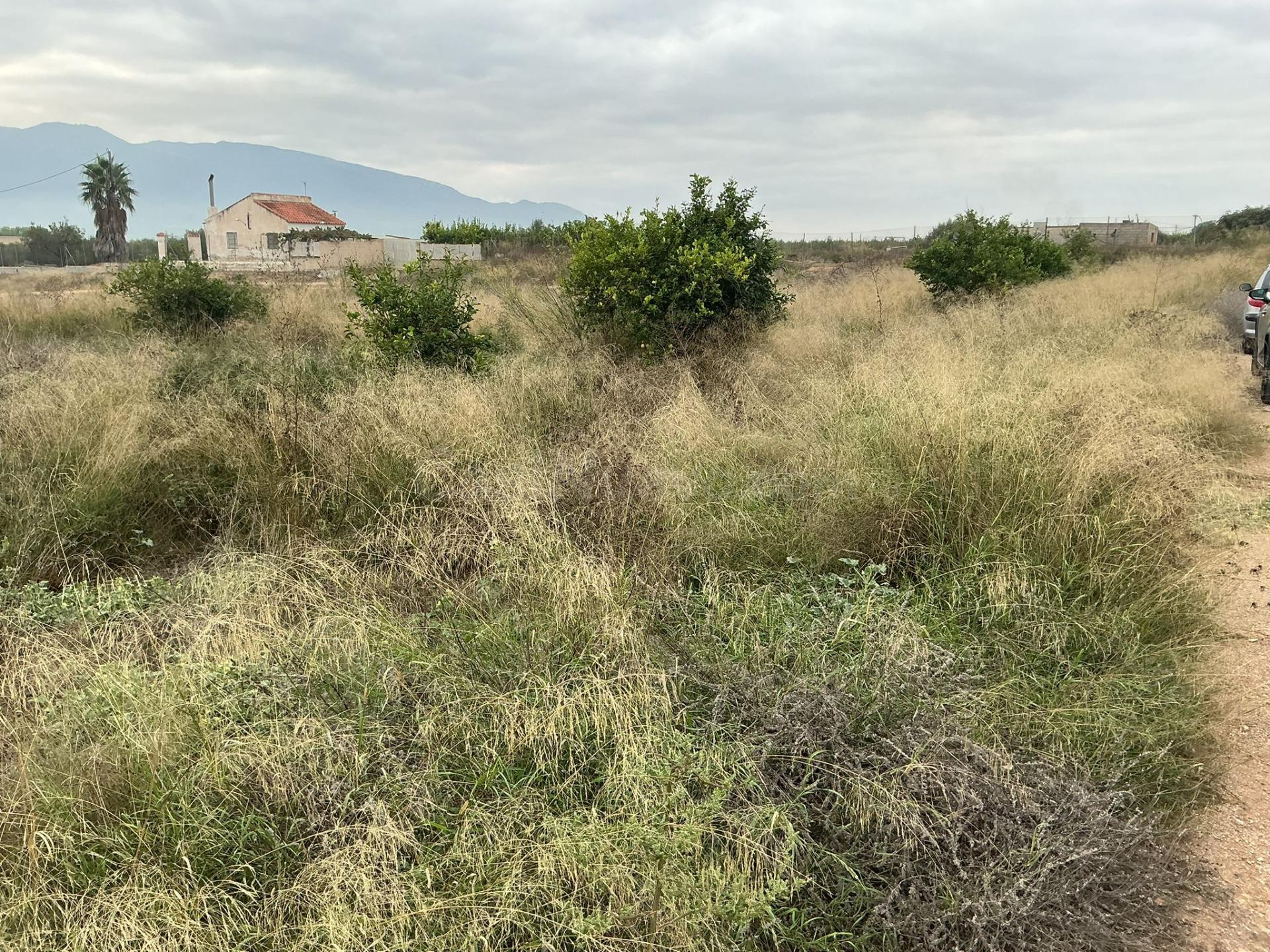 Terreno Urbano en Venta en Librilla - foto 3