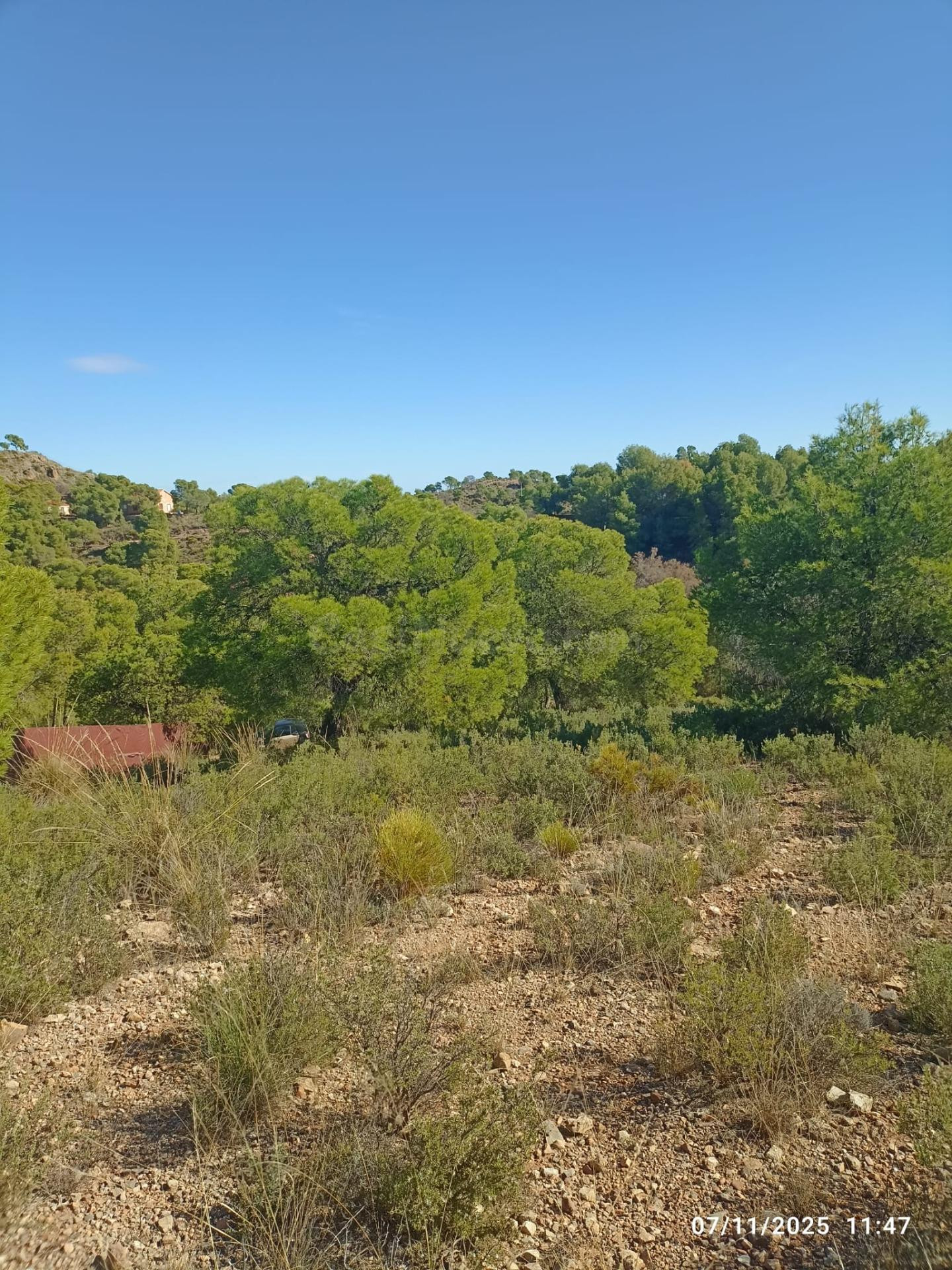 Parcela en Venta en Totana