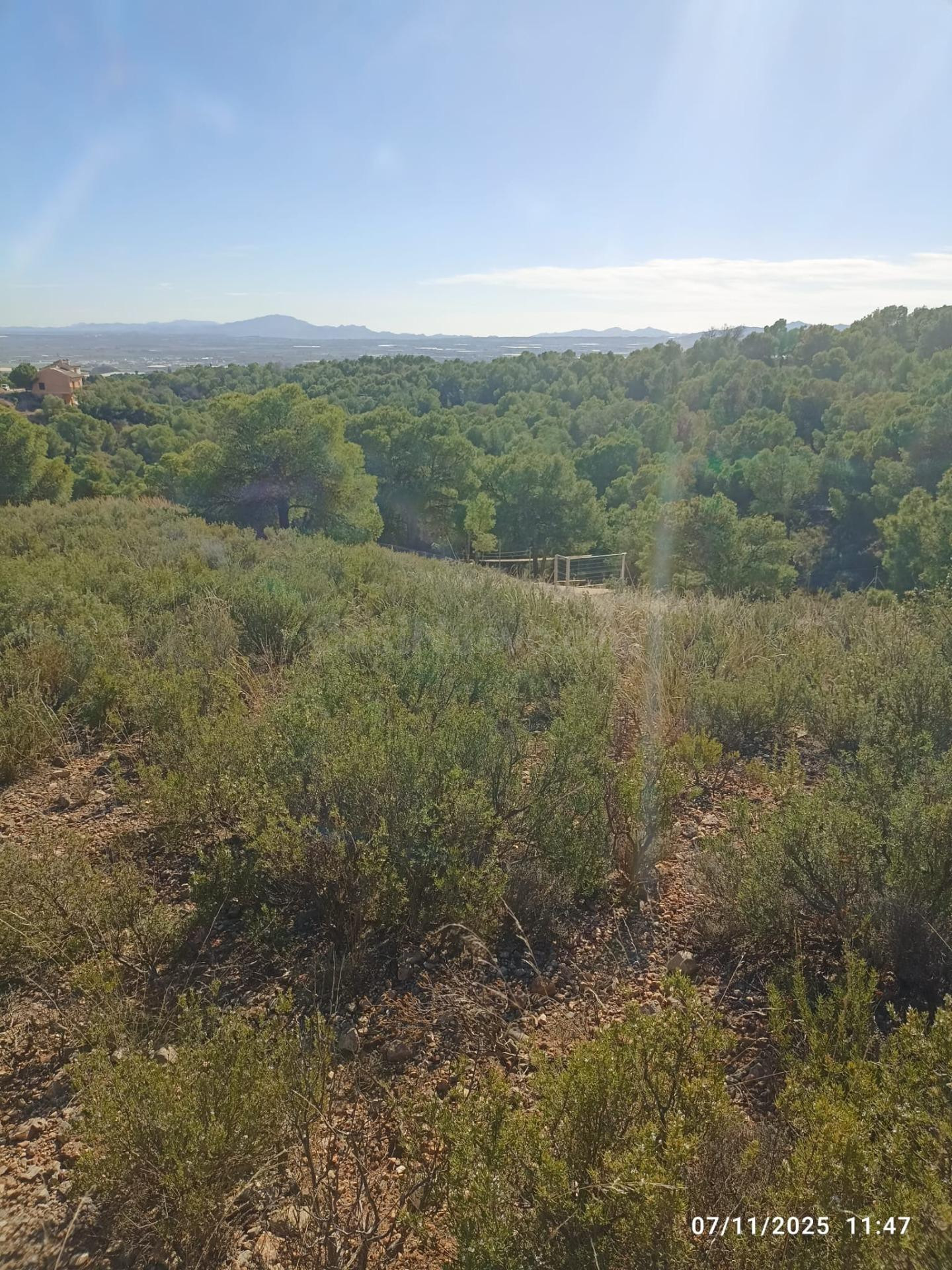Parcela en Venta en Totana - foto 4