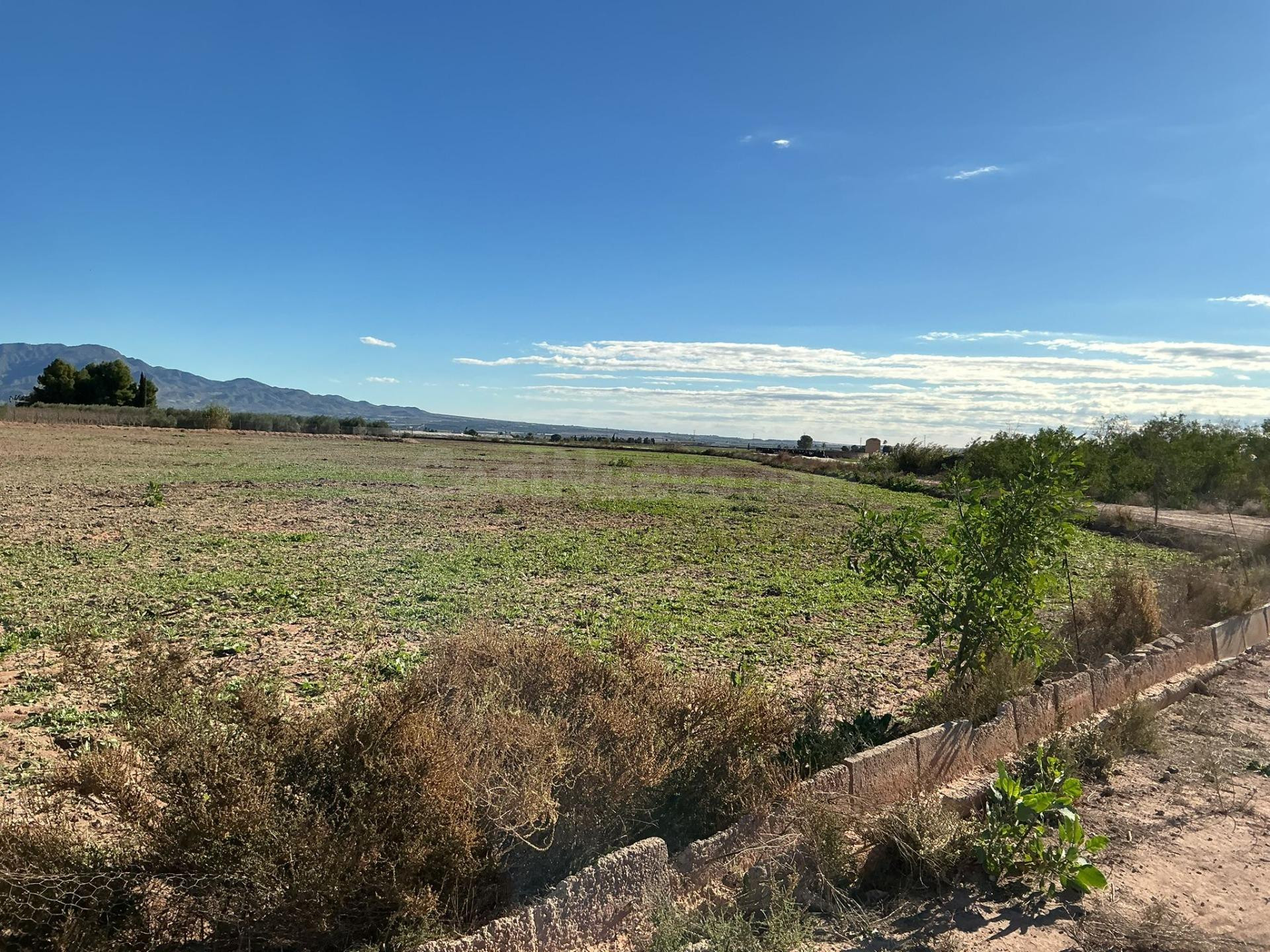 Parcela en Venta en Totana