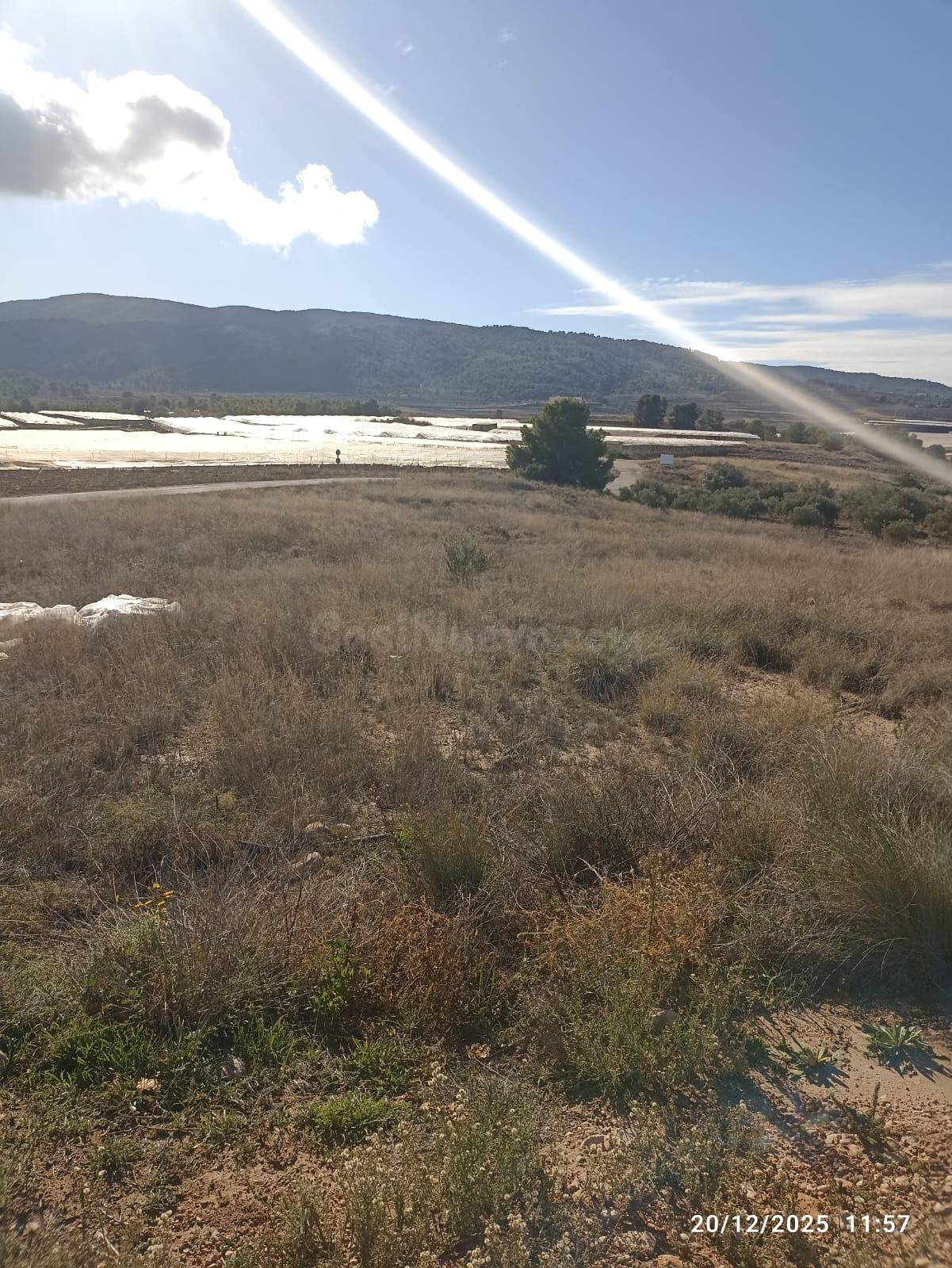 Terreno en Venta en Aledo