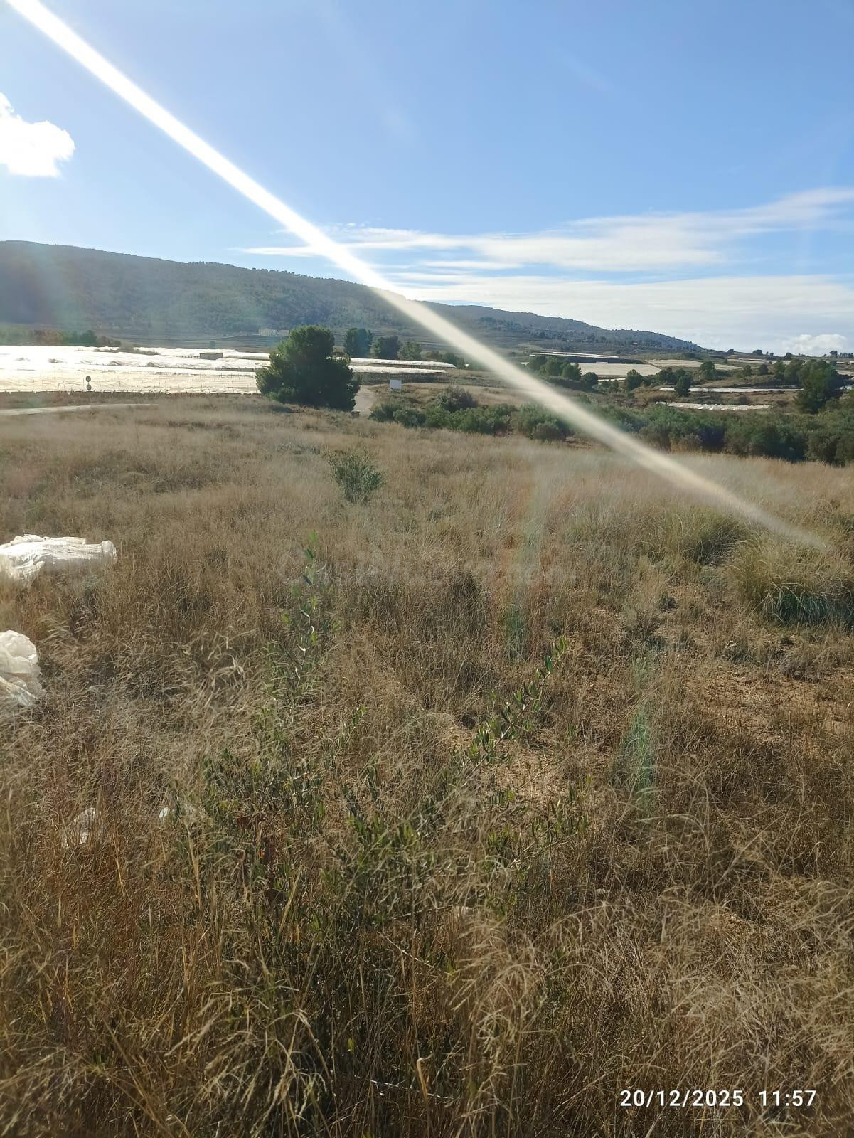 Terreno en Venta en Aledo - foto 2