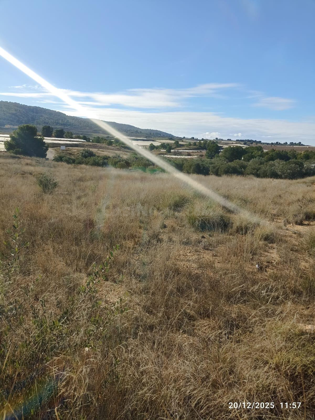 Terreno en Venta en Aledo - foto 3
