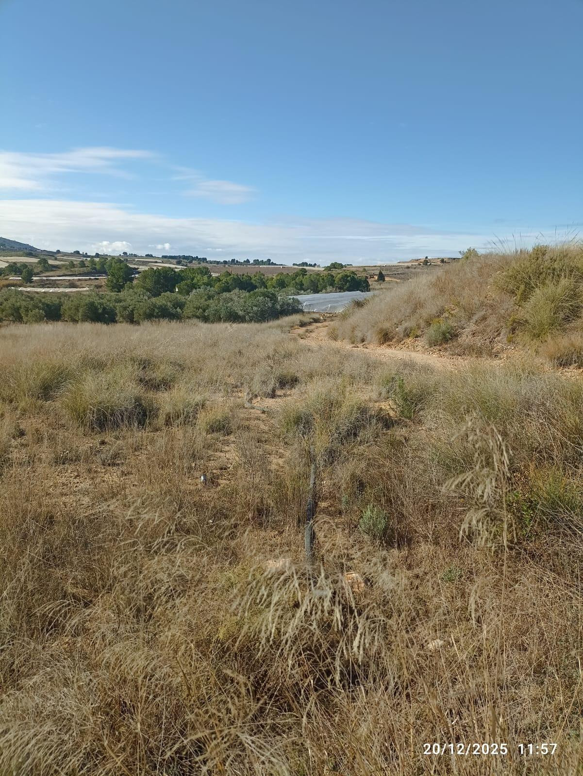Terreno en Venta en Aledo - foto 4