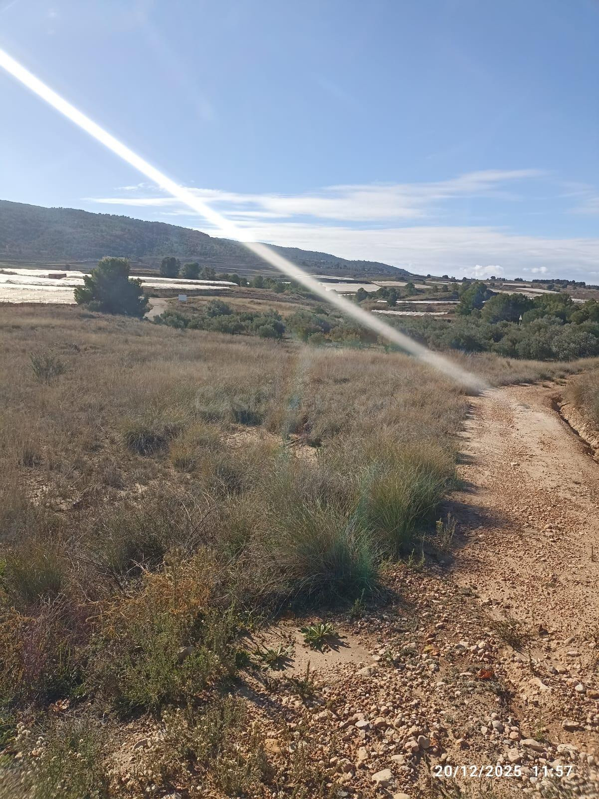 Terreno en Venta en Aledo - foto 5