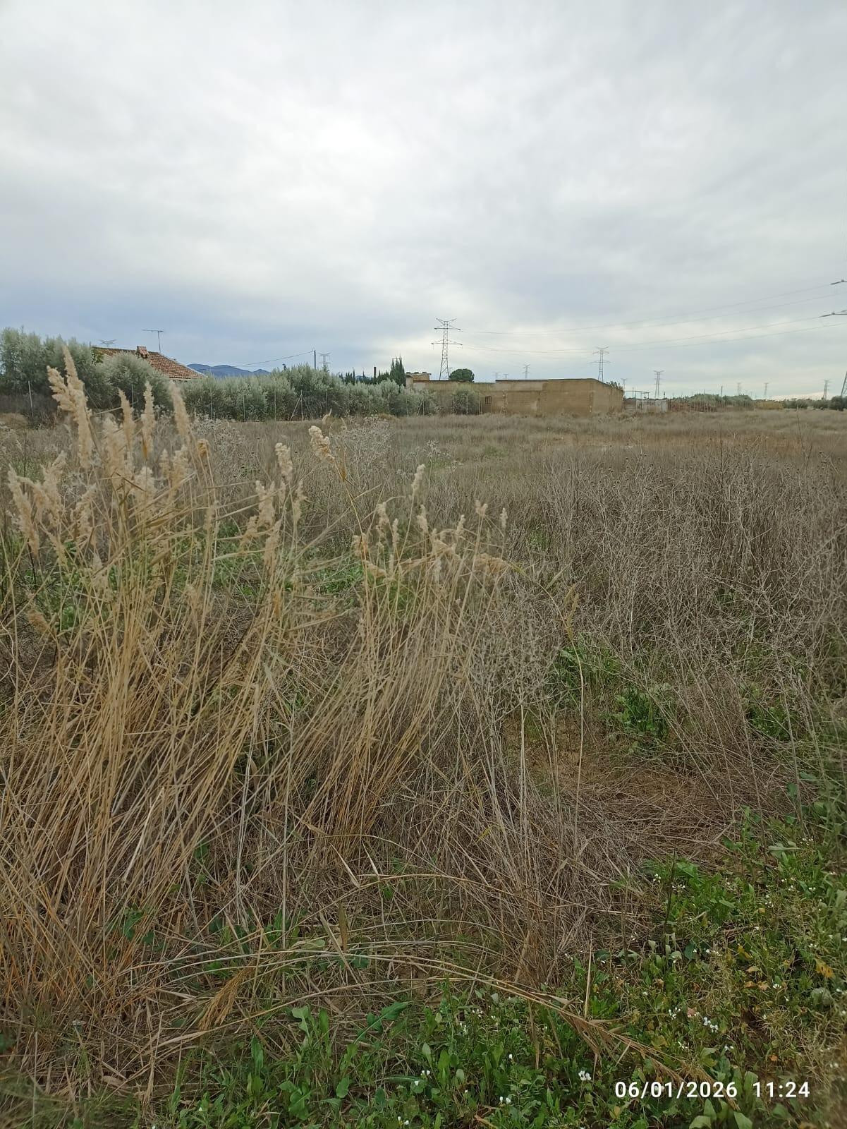 Terreno en Venta en Totana - foto 3