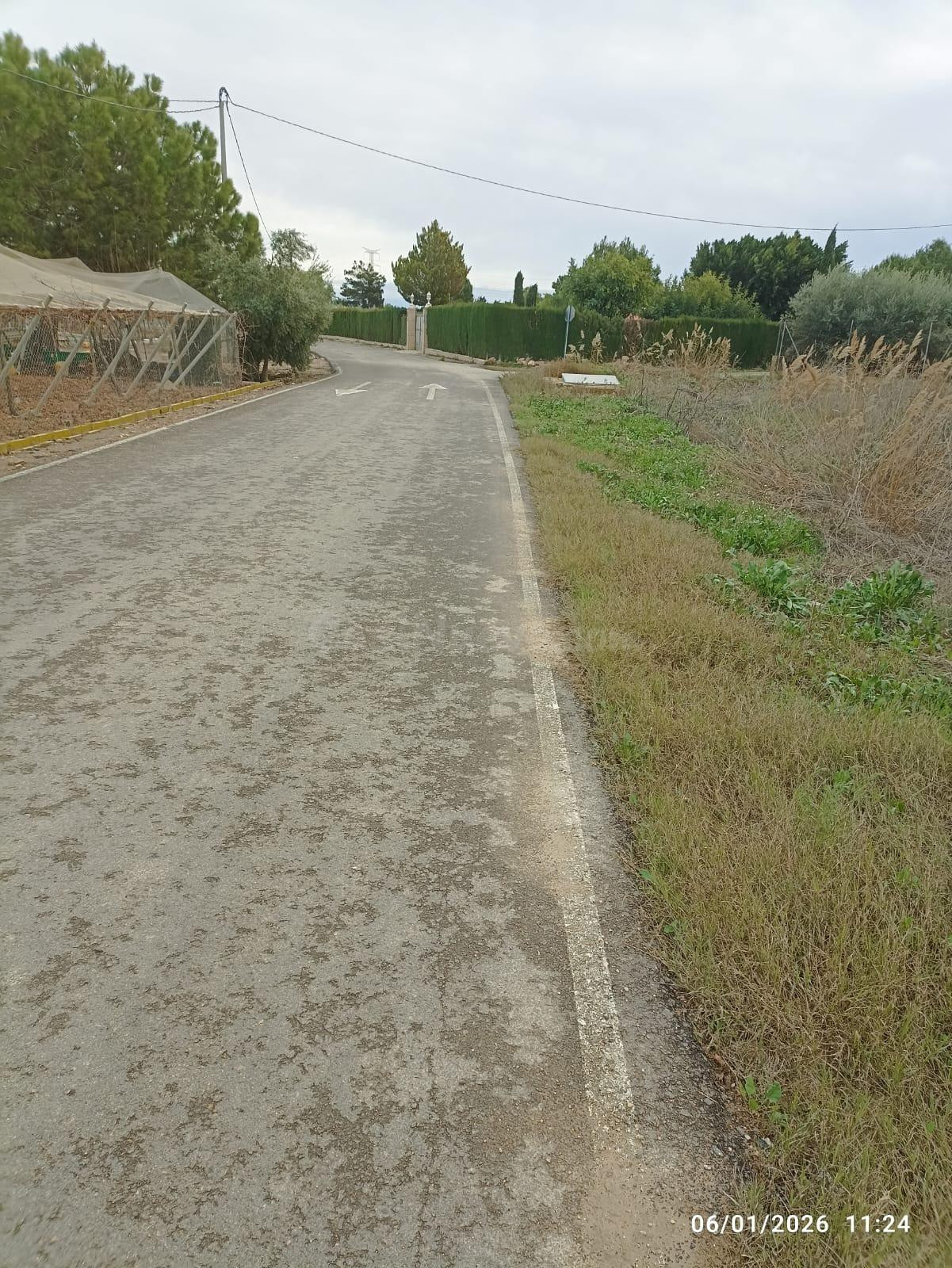 Terreno en Venta en Totana - foto 4