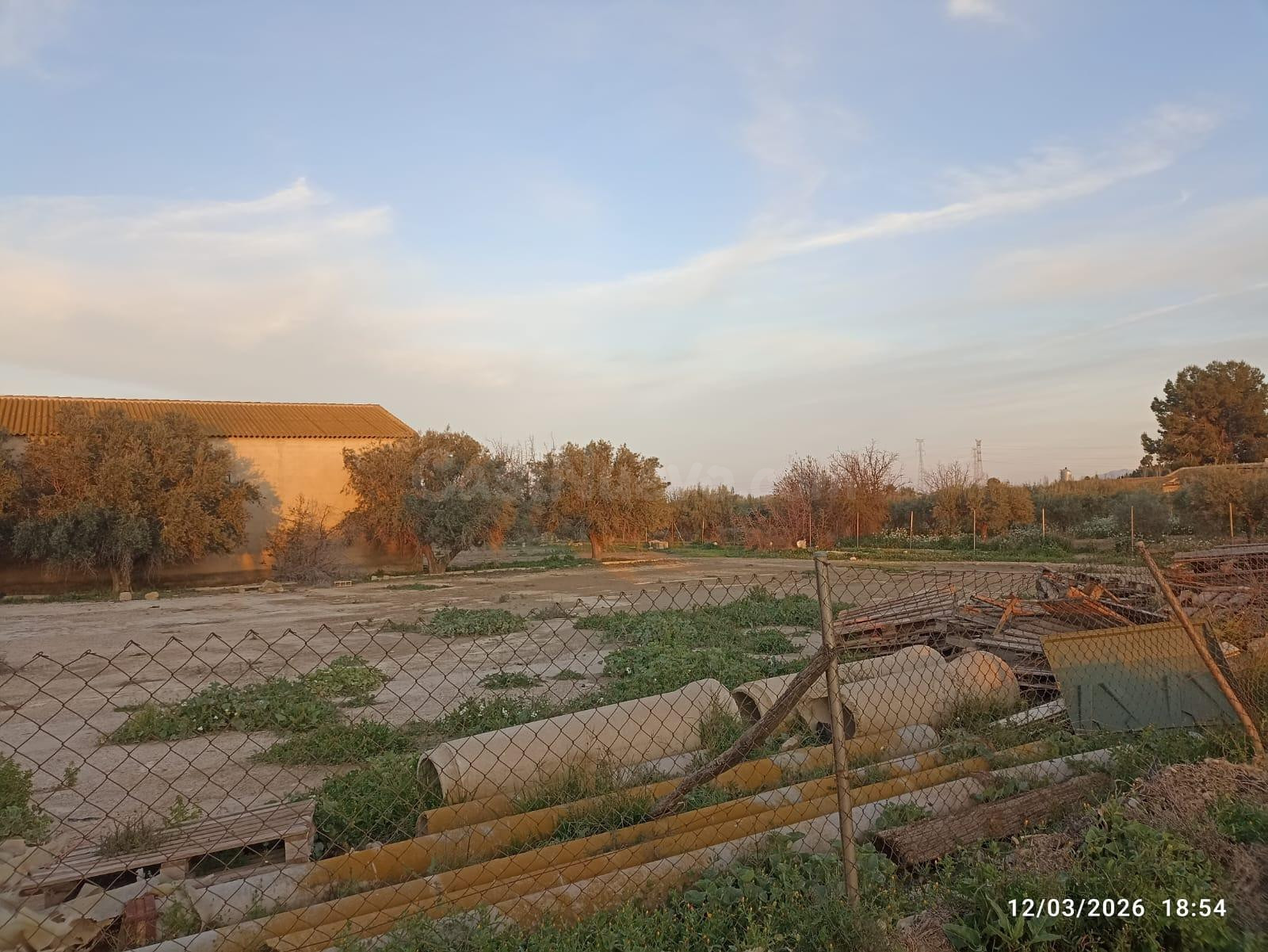 Nave Industrial con Terreno en Venta en Totana - foto 5