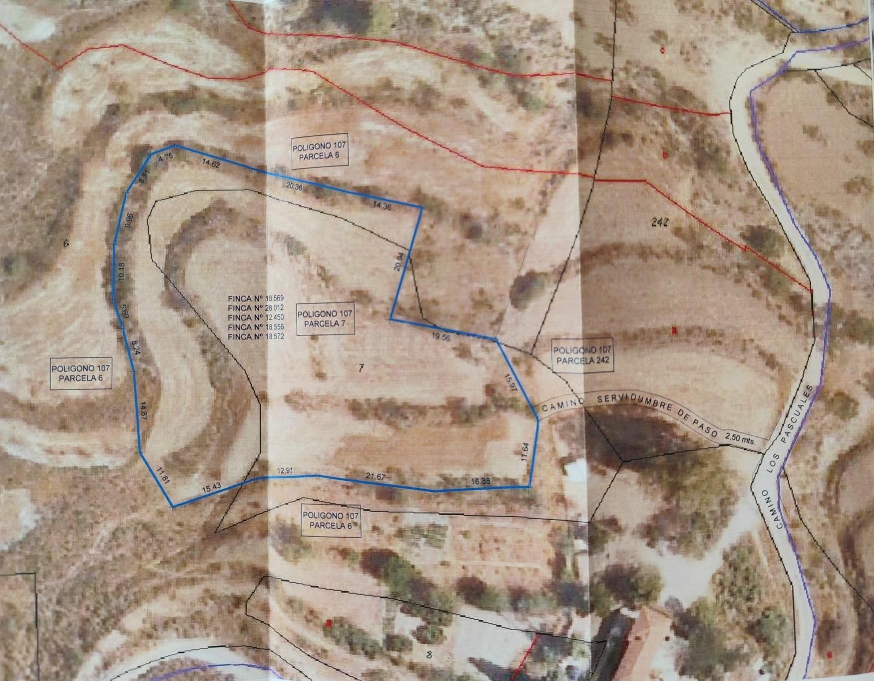 Fincas rústicas en paraje Campo López (Aguaderas) - foto 3